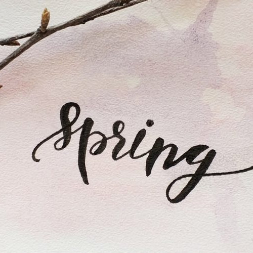 Fresh Recipes Perfect for Spring
