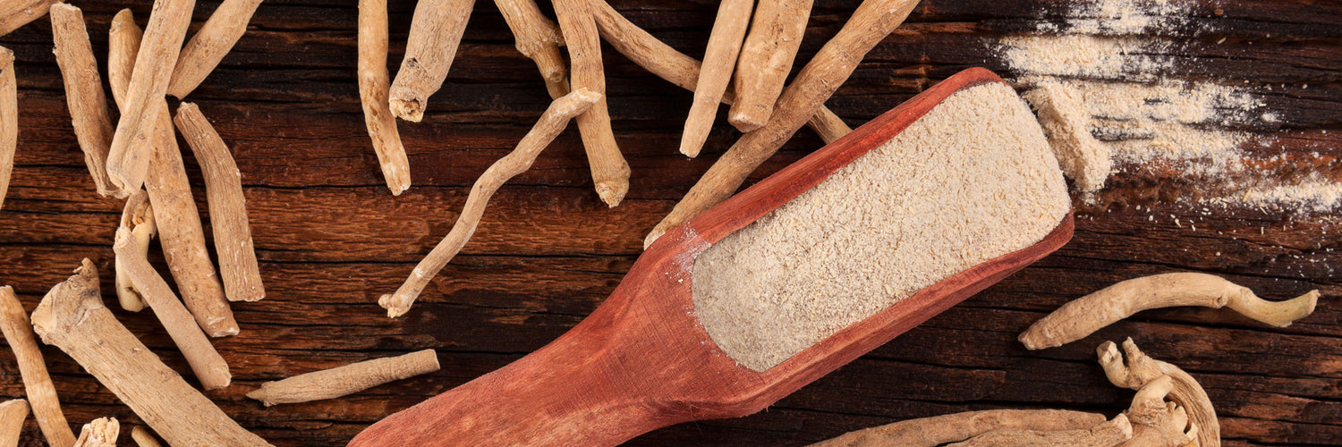 The Ultimate User Guide to Ashwagandha: Benefits & Uses, Types & Reviews