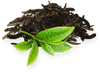 Green Tea Leaves Extract