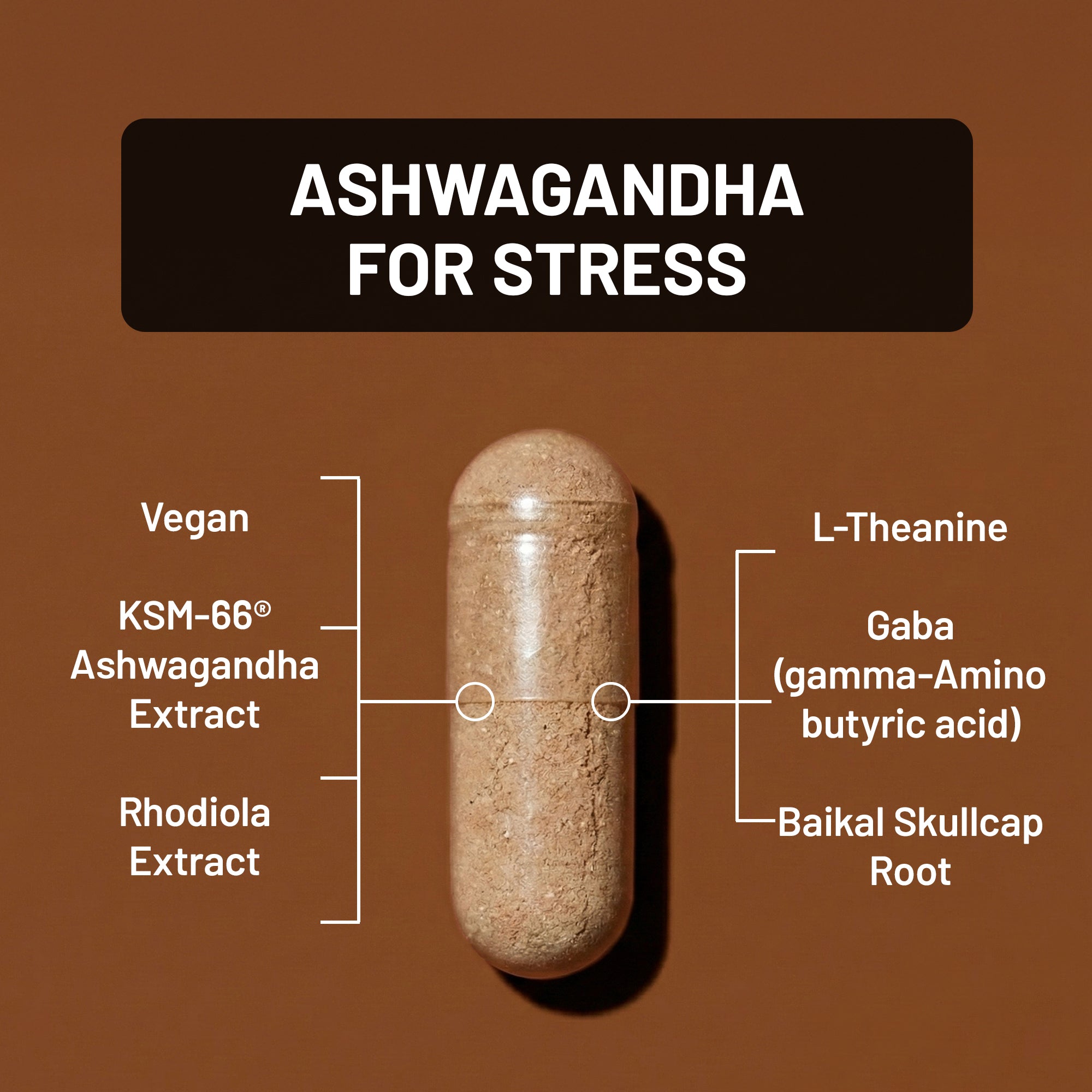 Vegan ashwagandha supplement capsule labeled 'ASHWAGANDHA FOR STRESS' with ingredients on a brown background