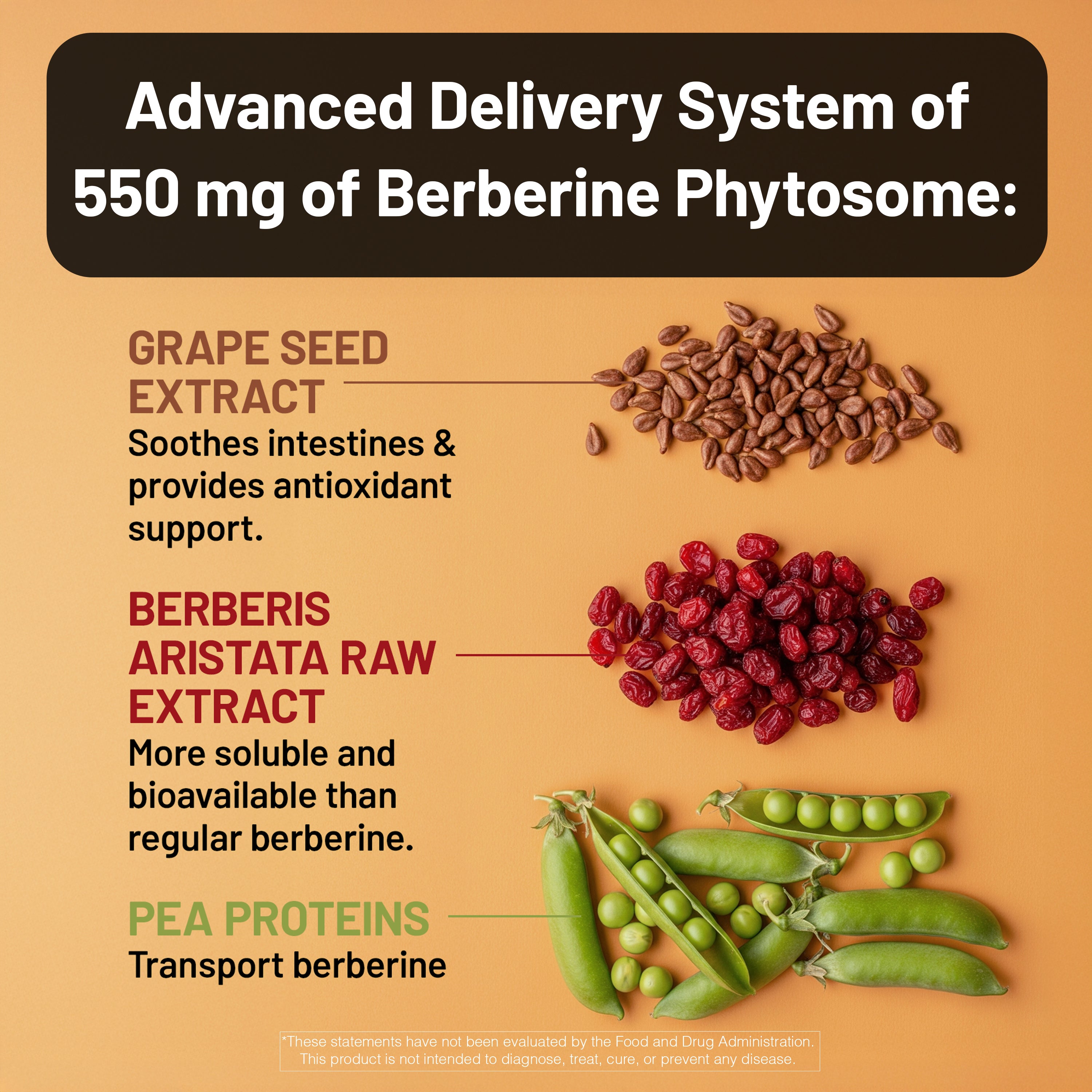 Infographic detailing the advanced delivery system of 550 mg Berberine Phytosome with images of grape seeds, raw berberis aristata, and peas.