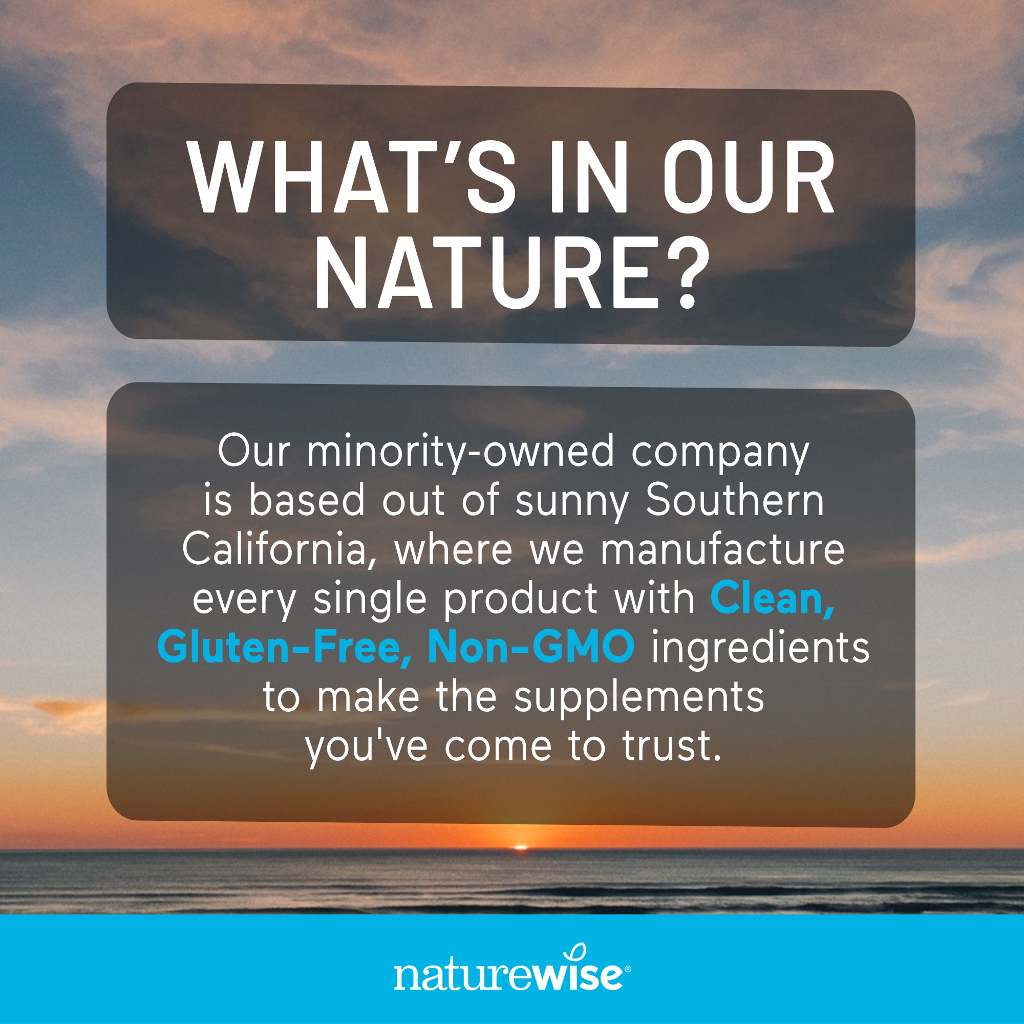 Promotional text about a minority-owned company manufacturing supplements with clean, gluten-free, non-GMO ingredients, set against a sunset over water.