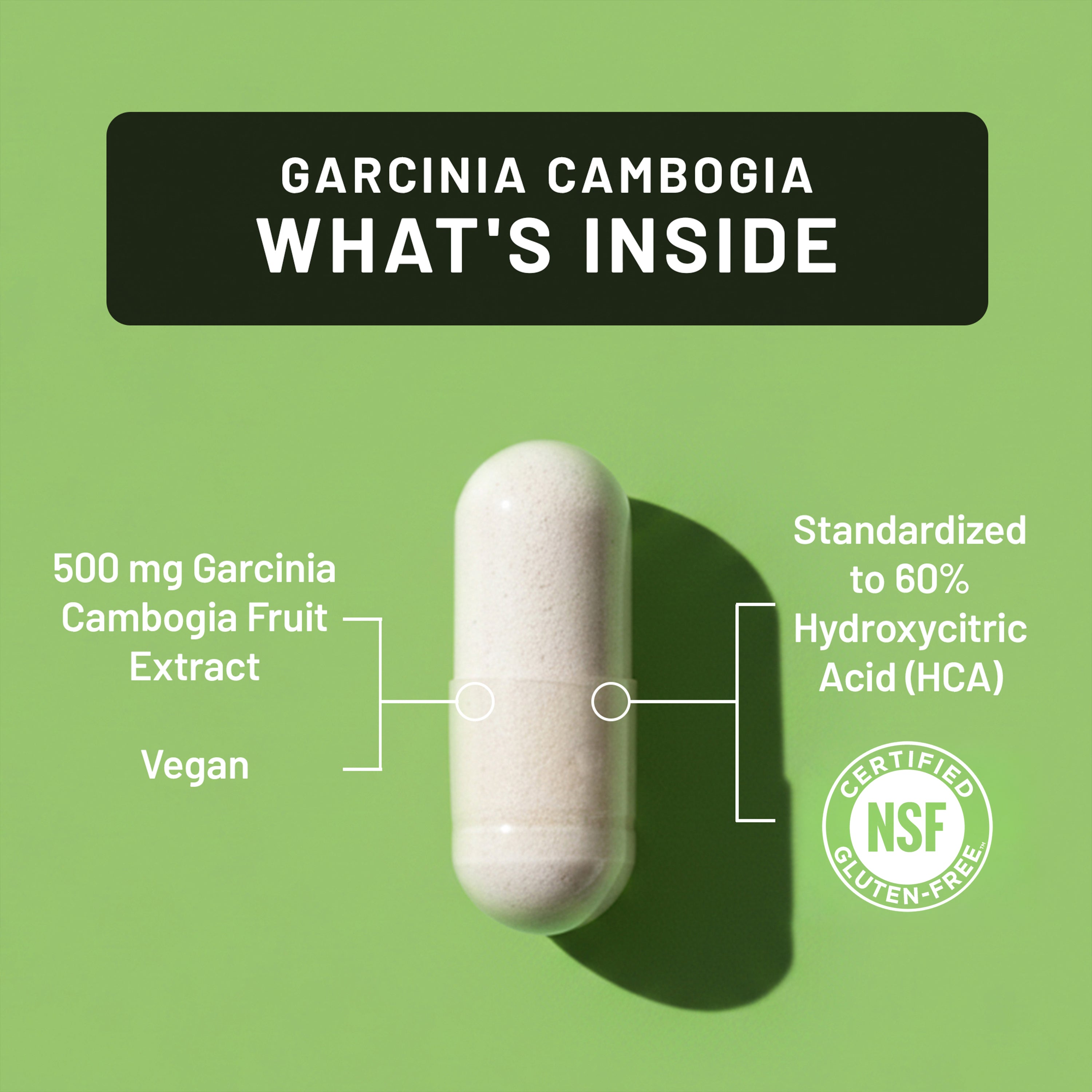 Garcinia Cambogia supplement capsule with certification label on a green background