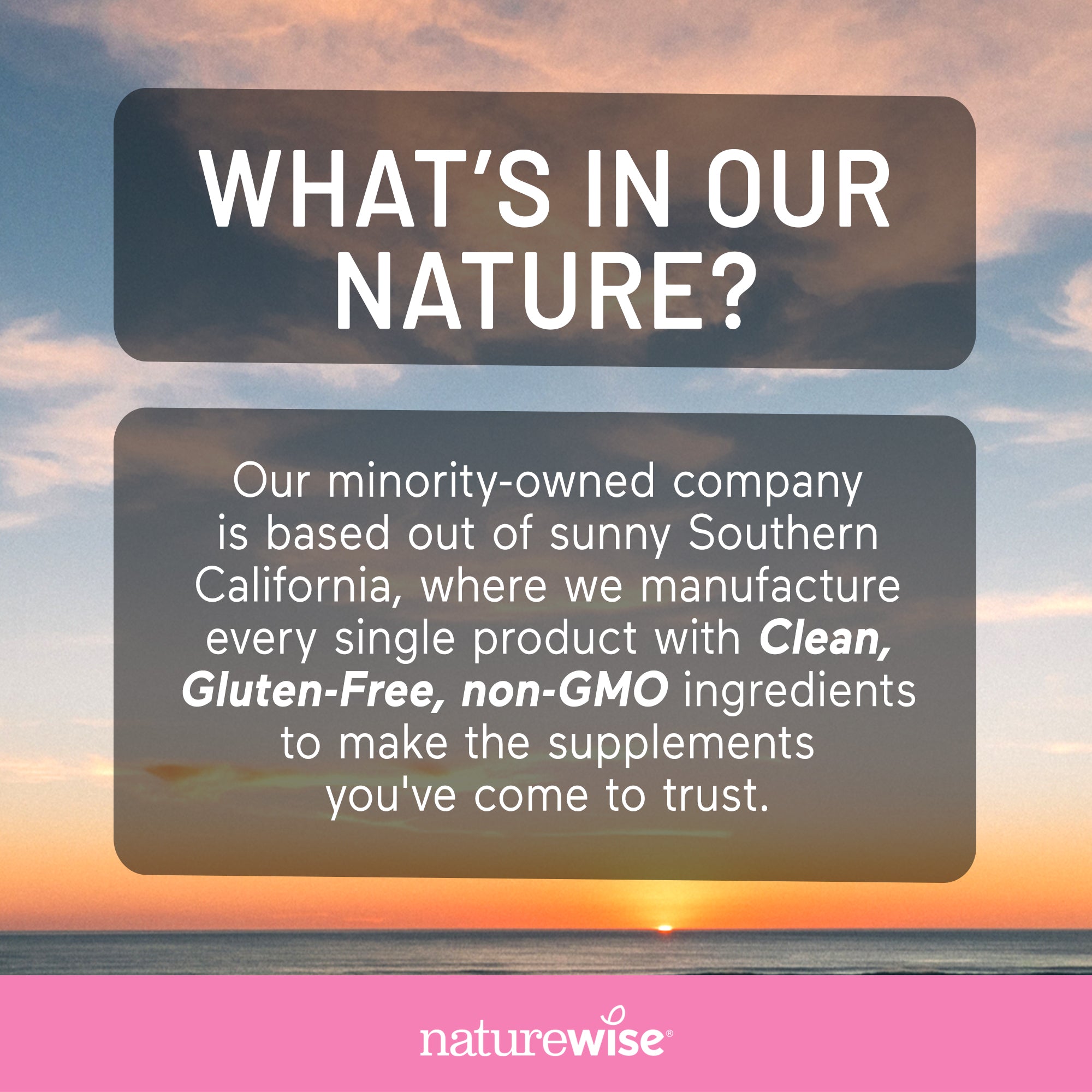 Promotional text about a minority-owned company in Southern California with nature-themed background