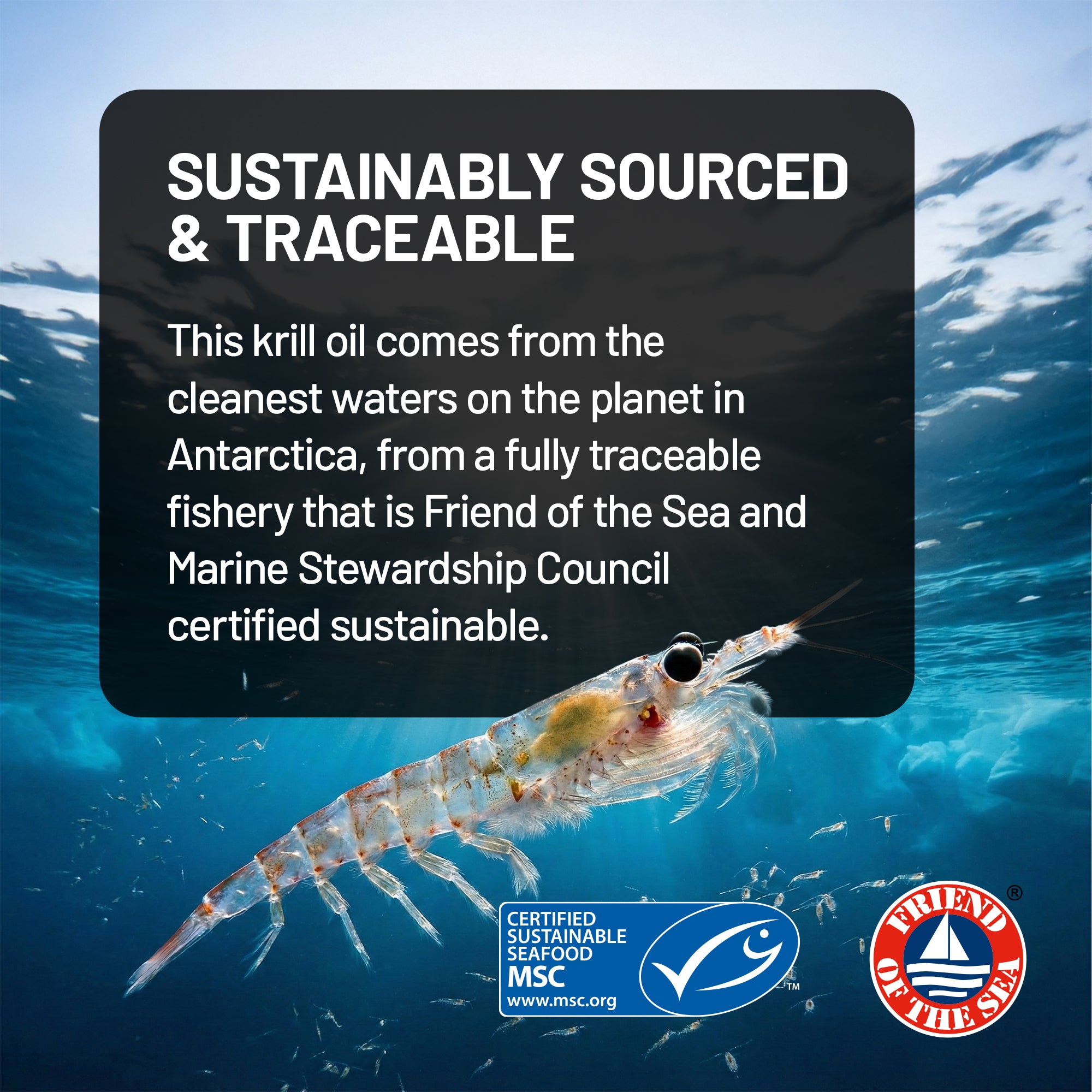 Krill oil with sustainability certification text and logos on a blue underwater background