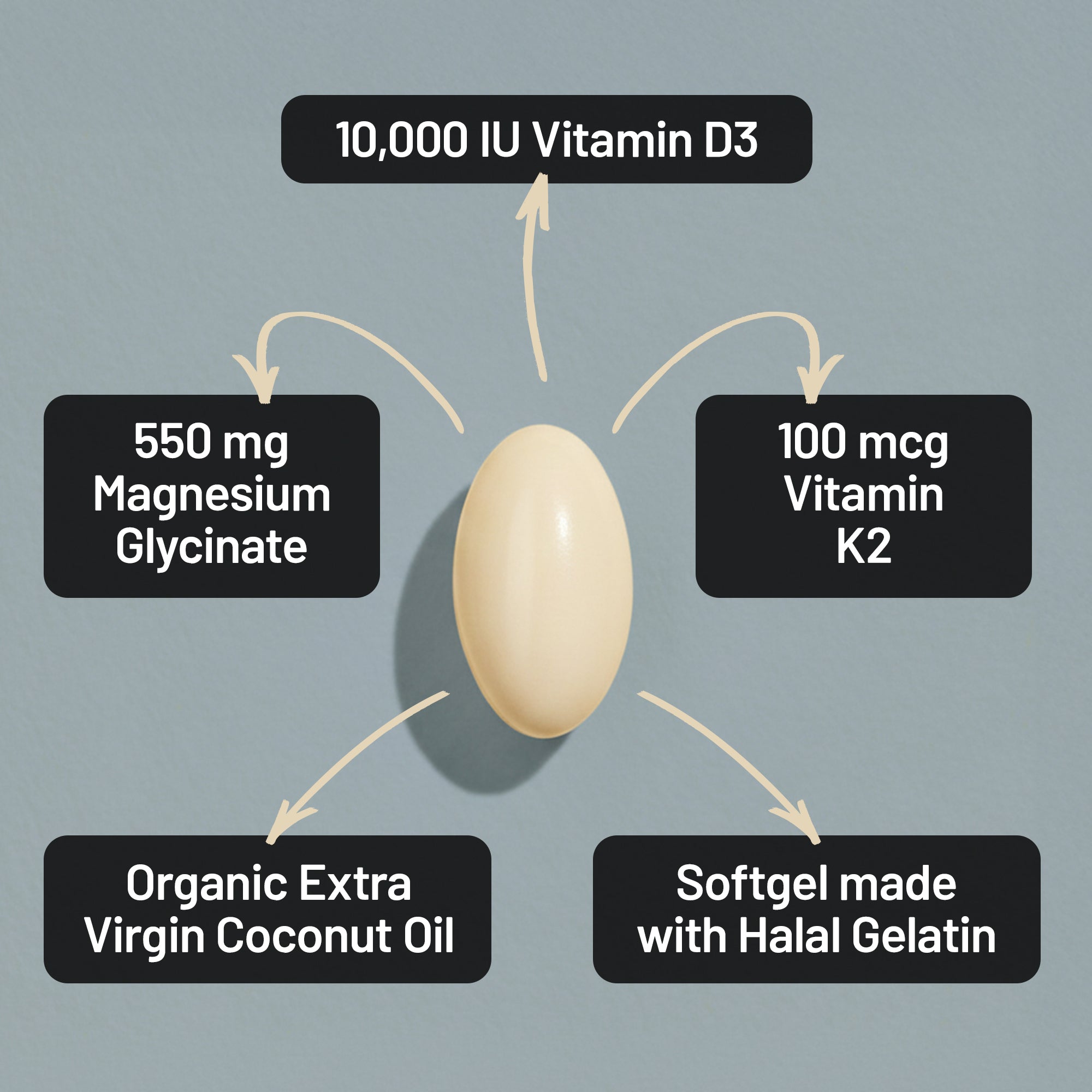 Diagram of a supplement softgel with labeled ingredients on a gray background