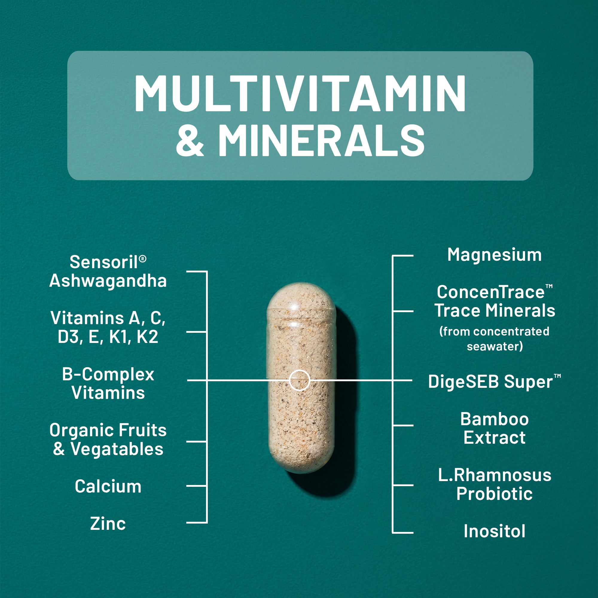NatureWise NatureWise Men's Stress Support supplement capsule with ingredient list on a teal background