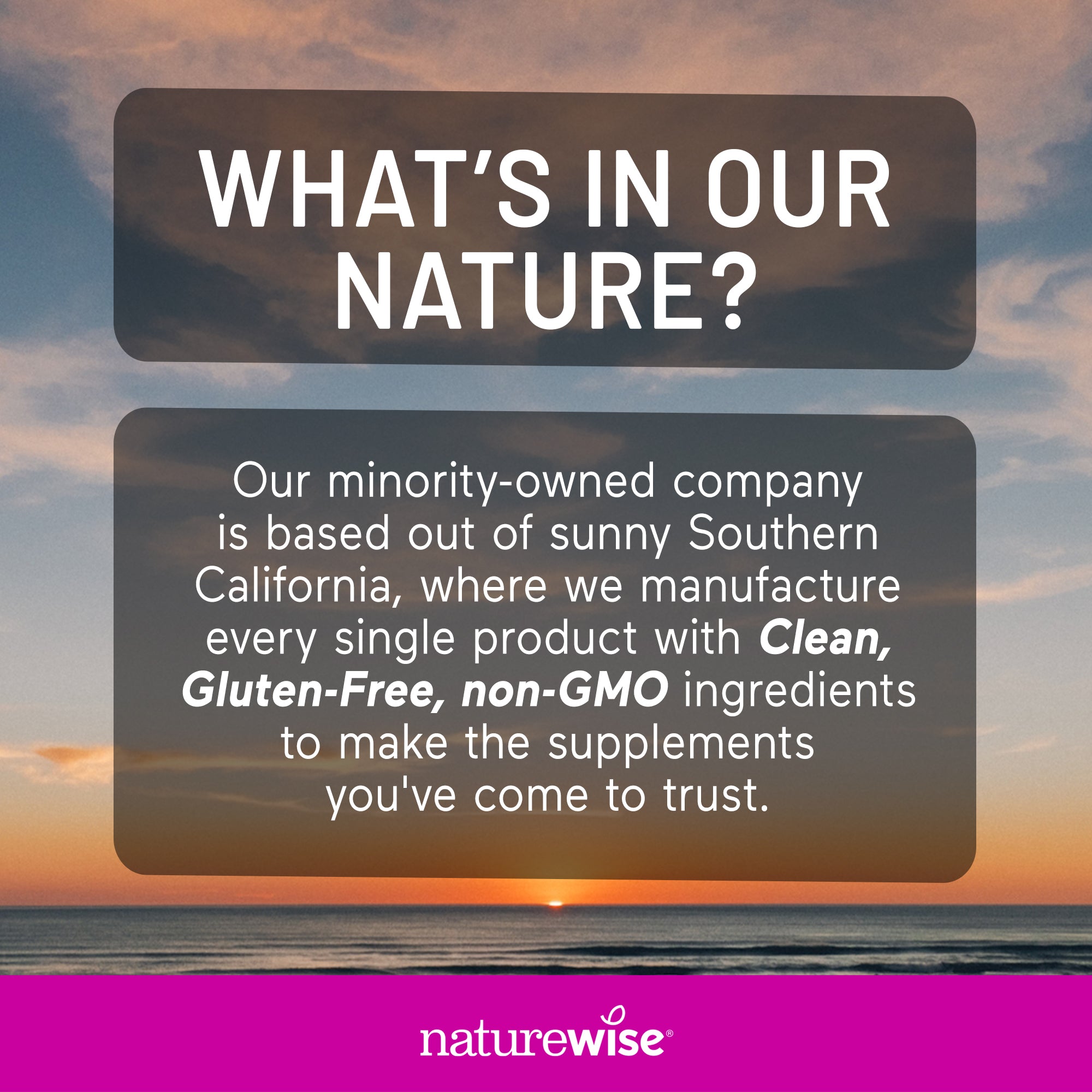 Promotional text about a minority-owned company manufacturing supplements with clean, gluten-free, non-GMO ingredients, set against a sunset over water.