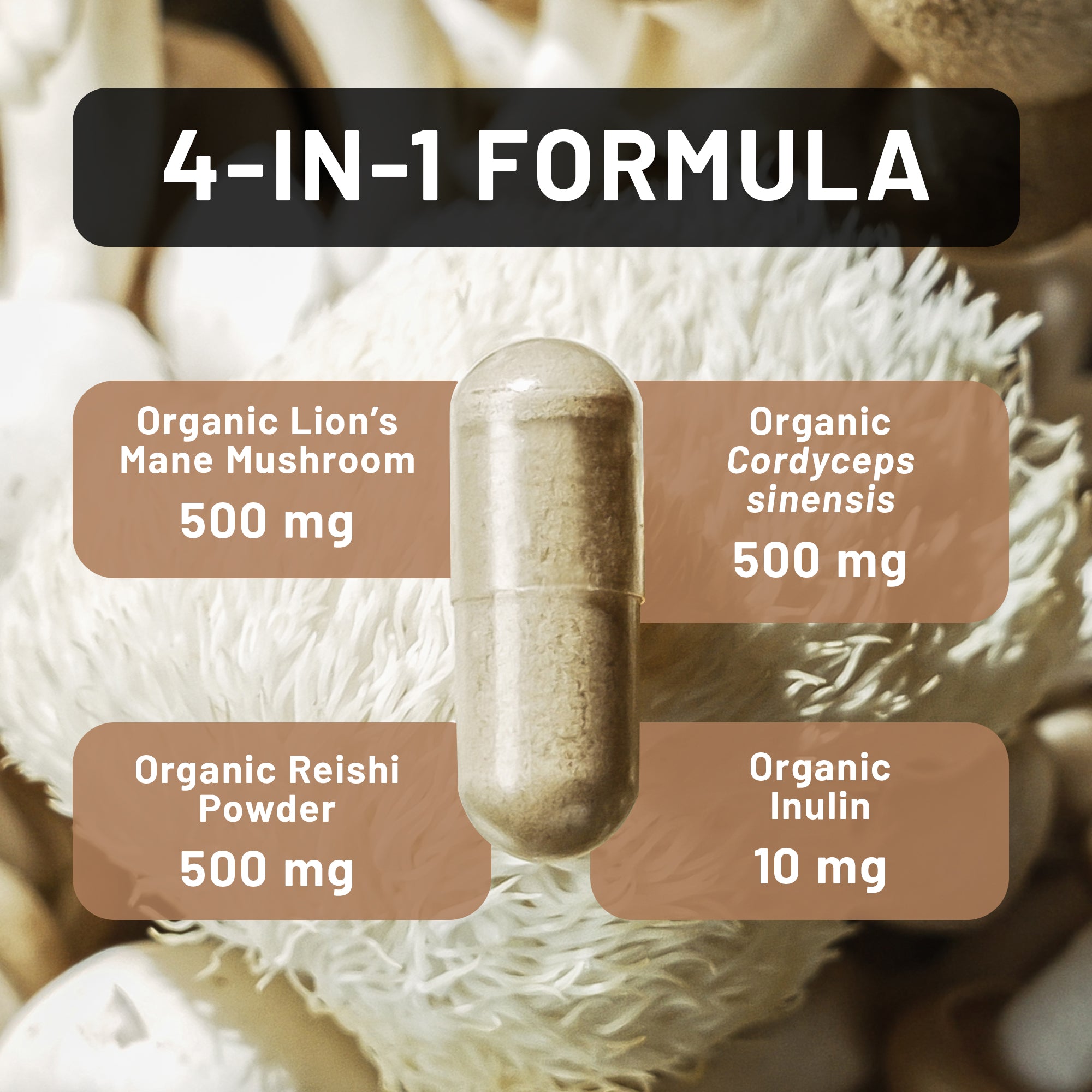 Supplement capsule with ingredients labeled on a mushroom background
