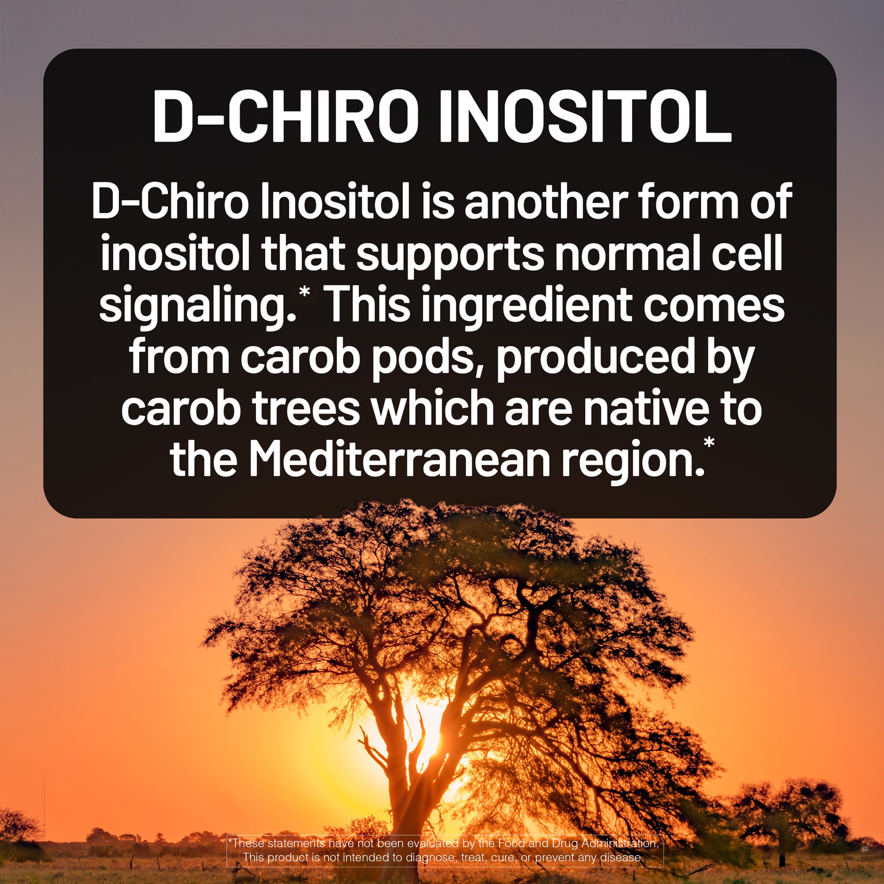 Tree at sunset with D-Chiro Inositol supplement text overlay
