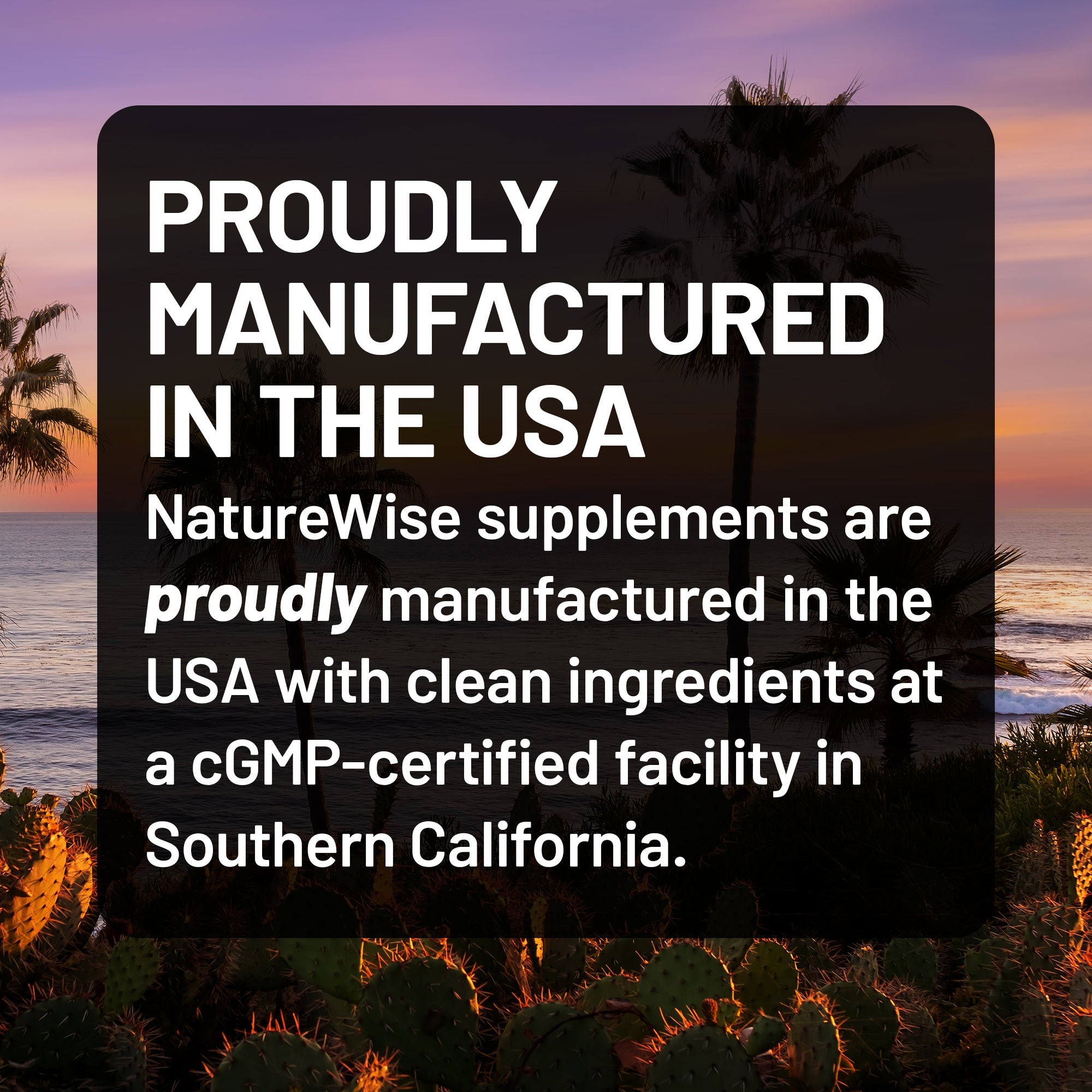 NatureWise supplements advertisement with palm trees and sunset in the background