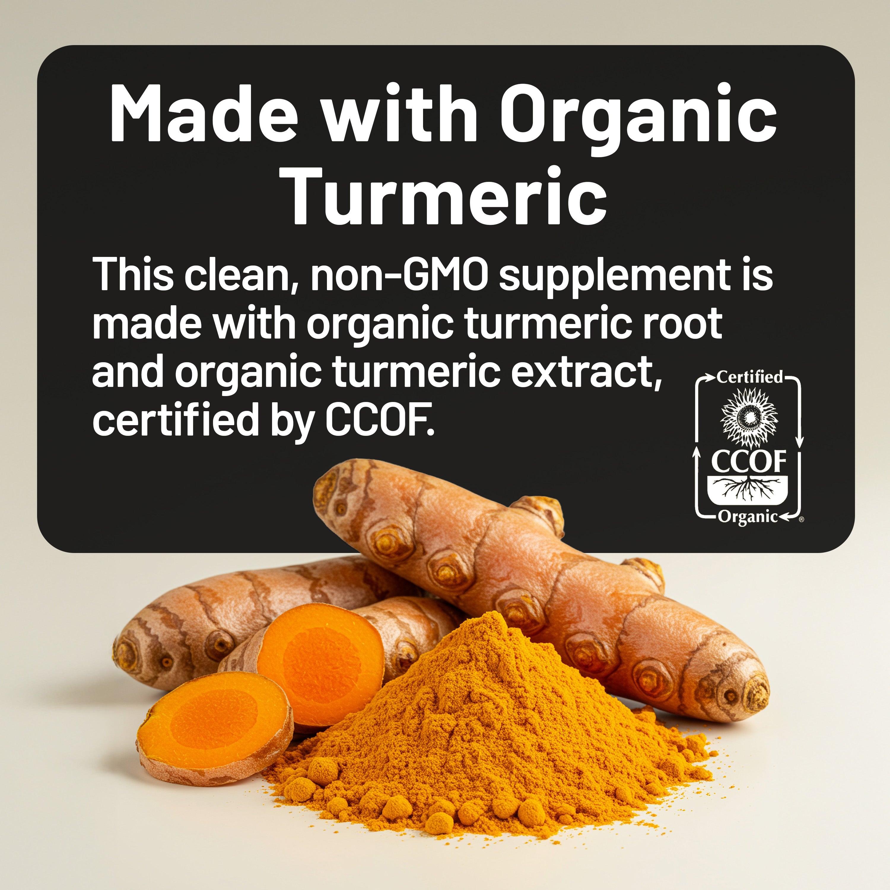 Turmeric Curcumin