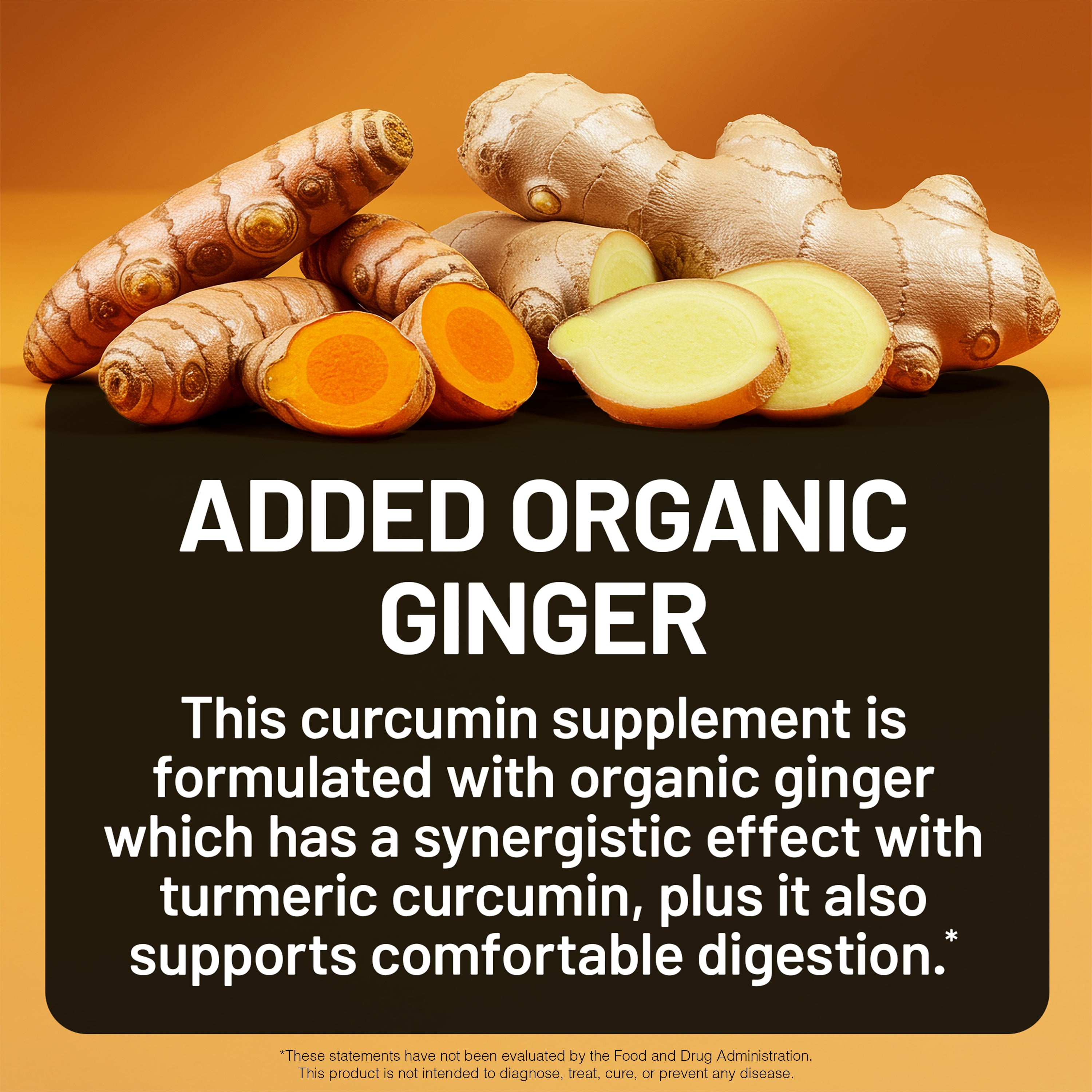 Turmeric Curcumin