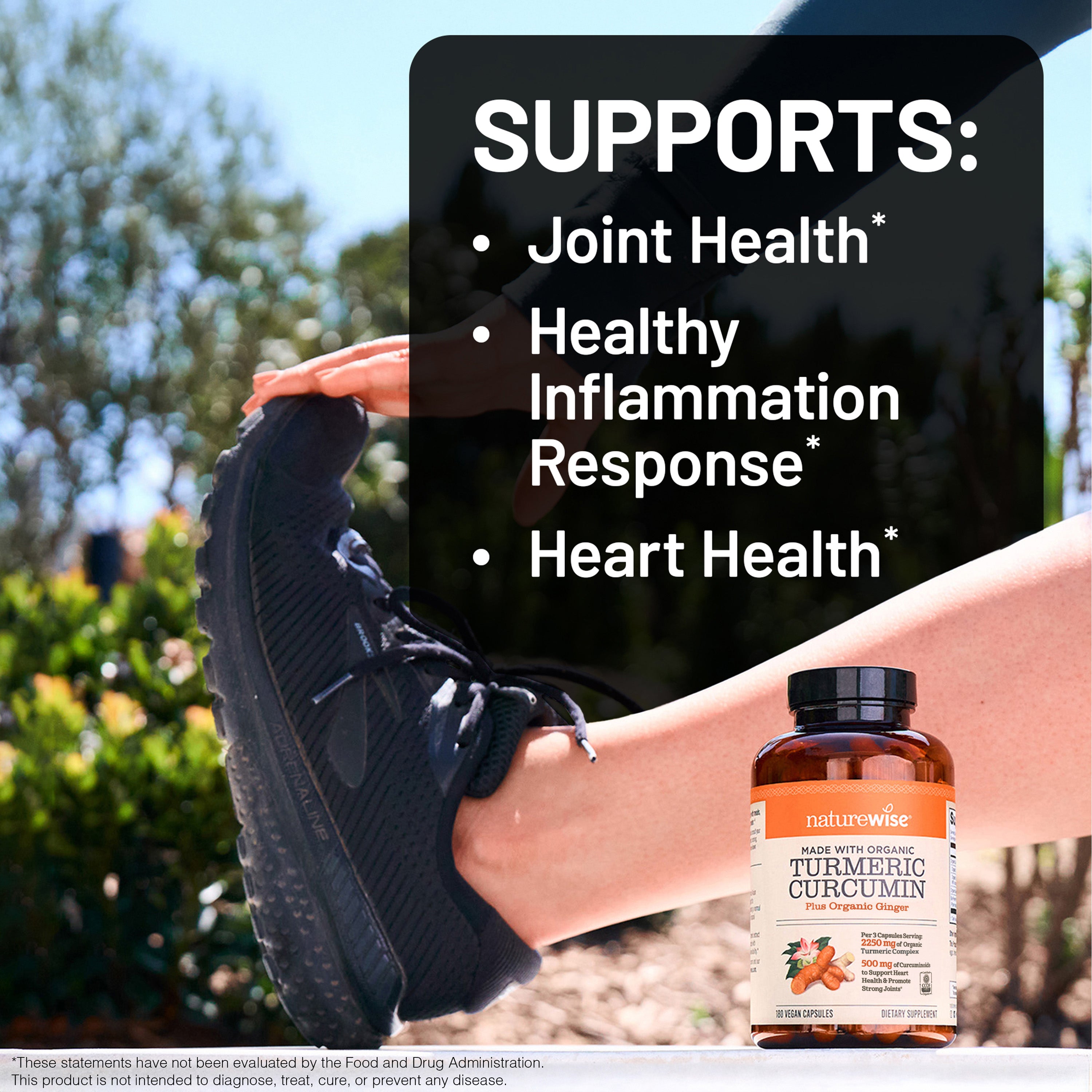 Turmeric Curcumin