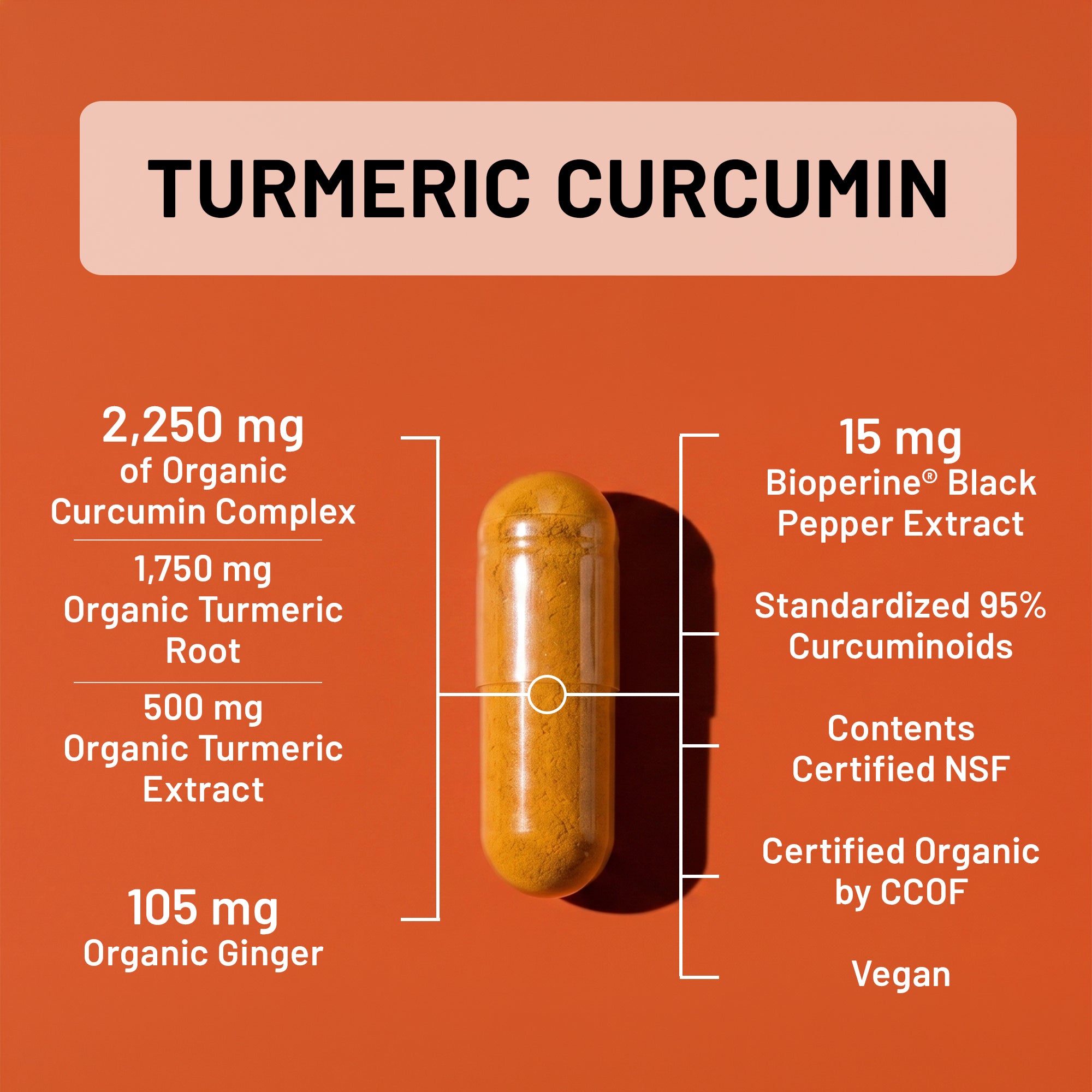 An orange informational graphic centered on a single translucent capsule filled with golden-yellow powder. The text reads 'TURMERIC CURCUMIN' and lists ingredients and claims: 2,250 mg of Organic Curcumin Complex, 1,750 mg Organic Turmeric Root, 500 mg Organic Turmeric Extract, 105 mg Organic Ginger, 15 mg Bioperine Black Pepper Extract, Standardized 95% Curcuminoids, Contents Certified NSF, Certified Organic by CCOF, and Vegan.