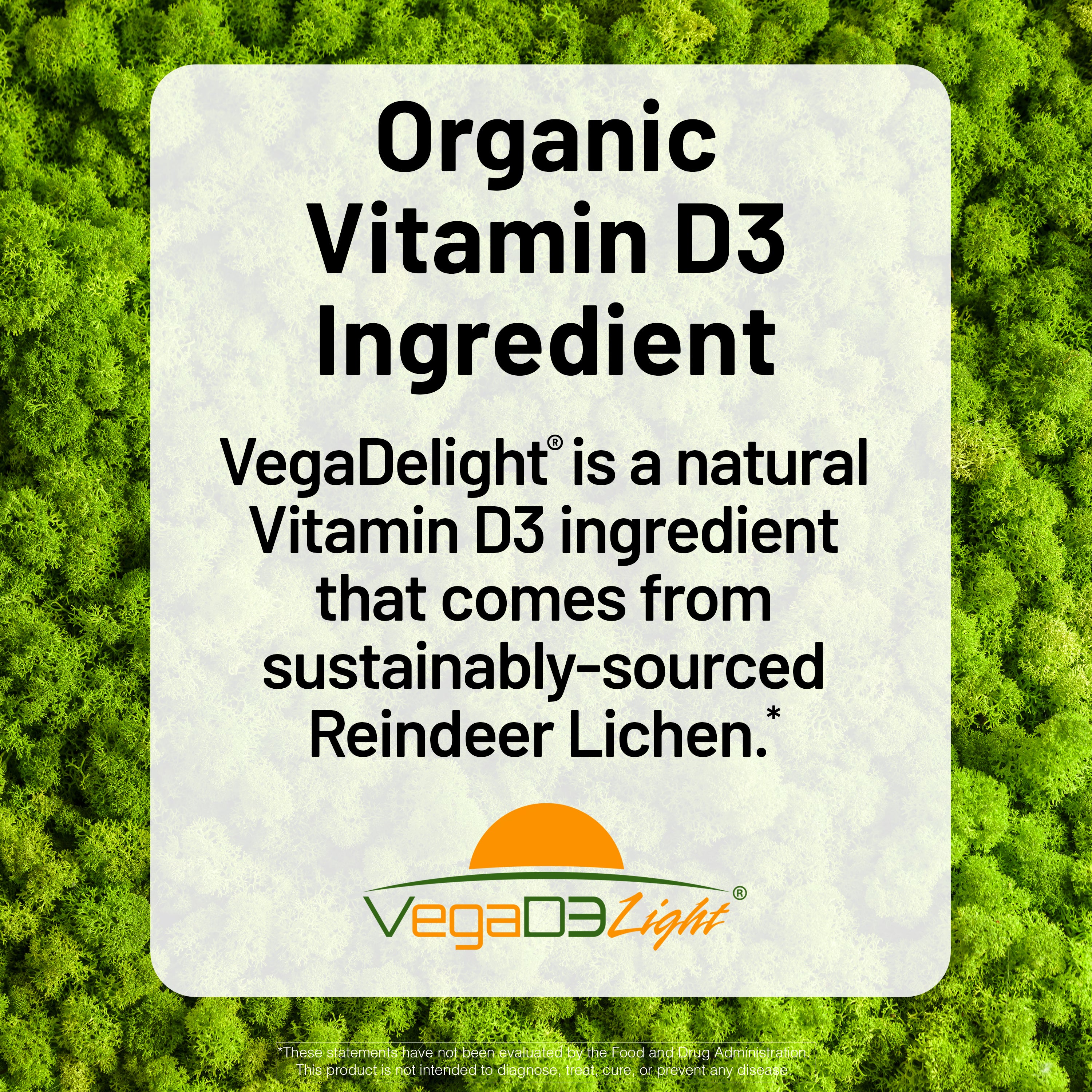 VegaDelight Organic Vitamin D3 Ingredient label on a green background
