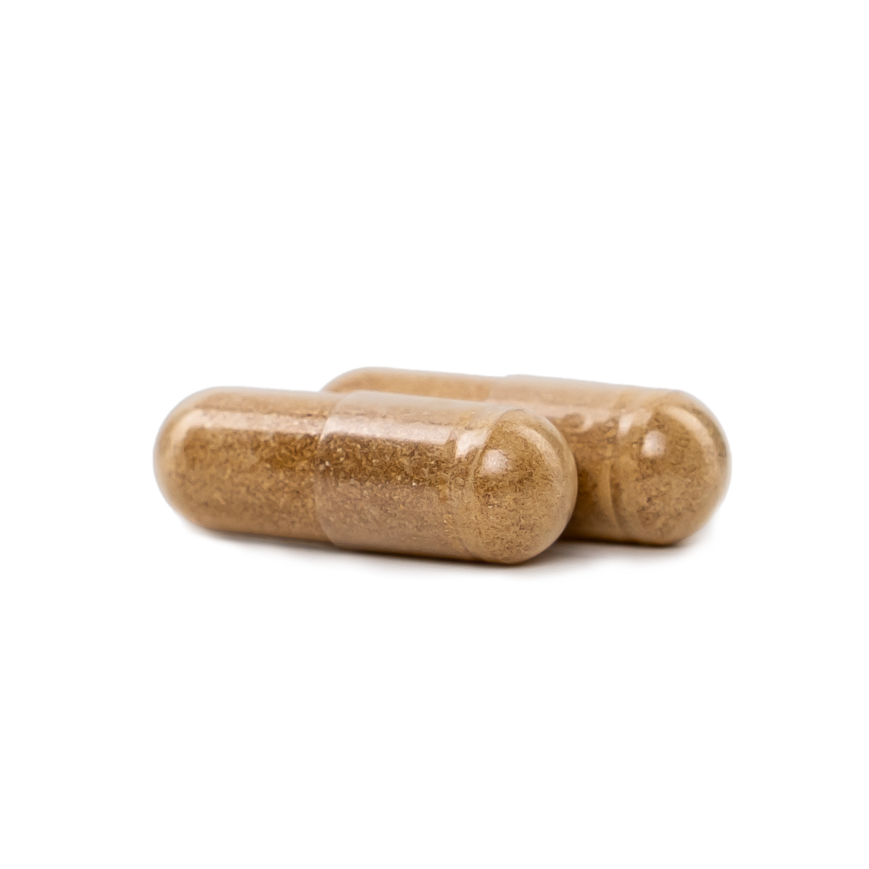 2 NatureWise Lions Mane Mushroom Extract Capsules on a blank background