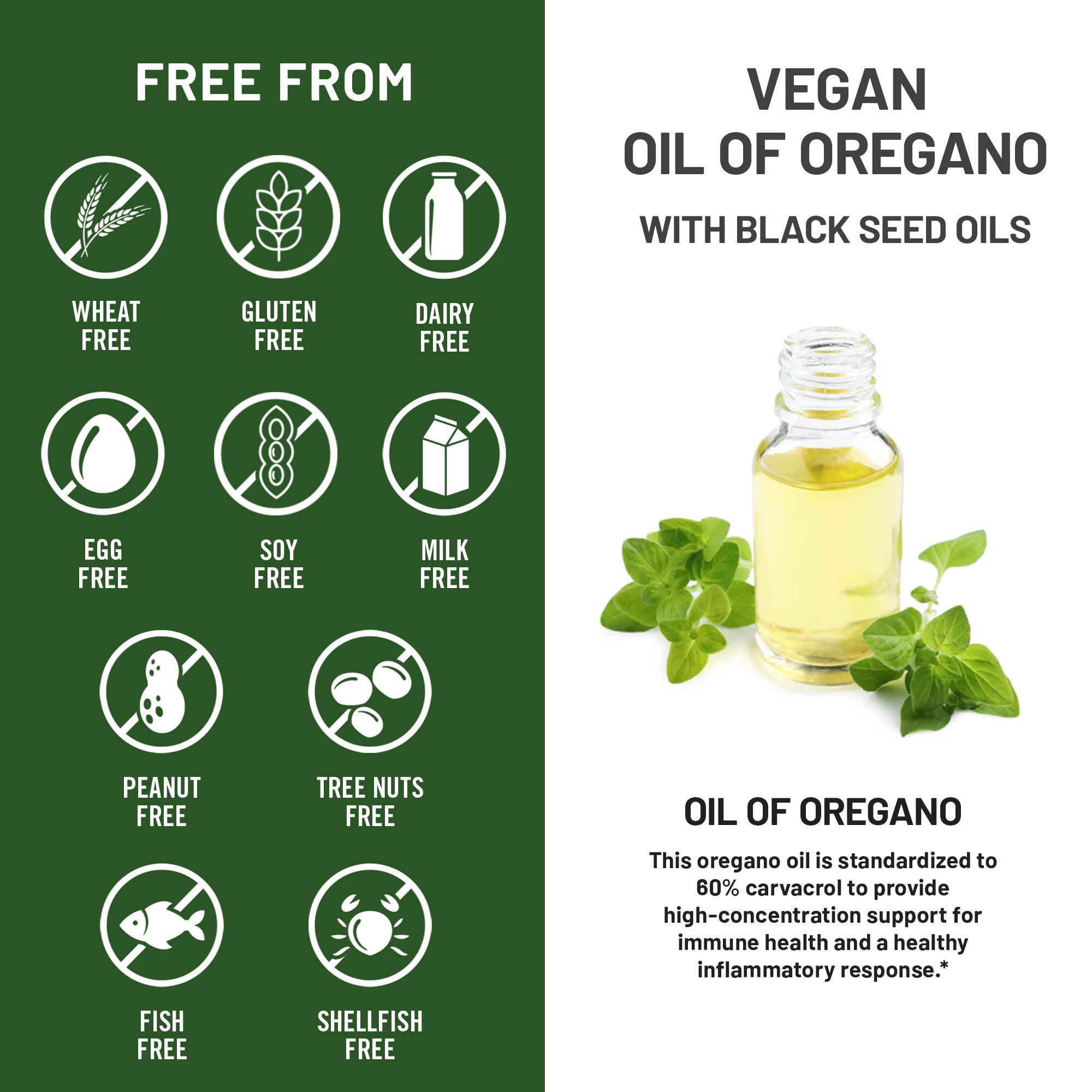 An informational graphic for a vegan oil of oregano supplement blended with black seed oils, showing a small glass bottle of golden liquid surrounded by fresh oregano leaves. The left side features a dark green panel with icons highlighting that the product is "Free From" common allergens, including wheat, gluten, dairy, egg, soy, milk, peanut, tree nuts, fish, and shellfish. The text states the oil is standardized to 60% carvacrol to provide high-concentration support for immune health and a healthy inflam