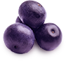 Acai Berry Powder