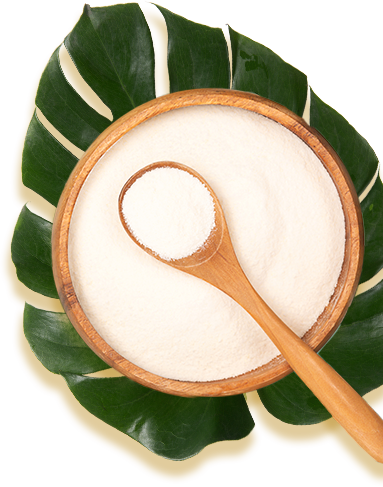NatureWise Collagen Powder with Spoon