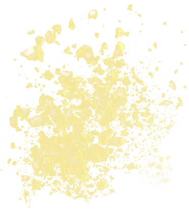 Powdered Collagen