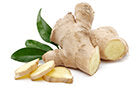 Ginger