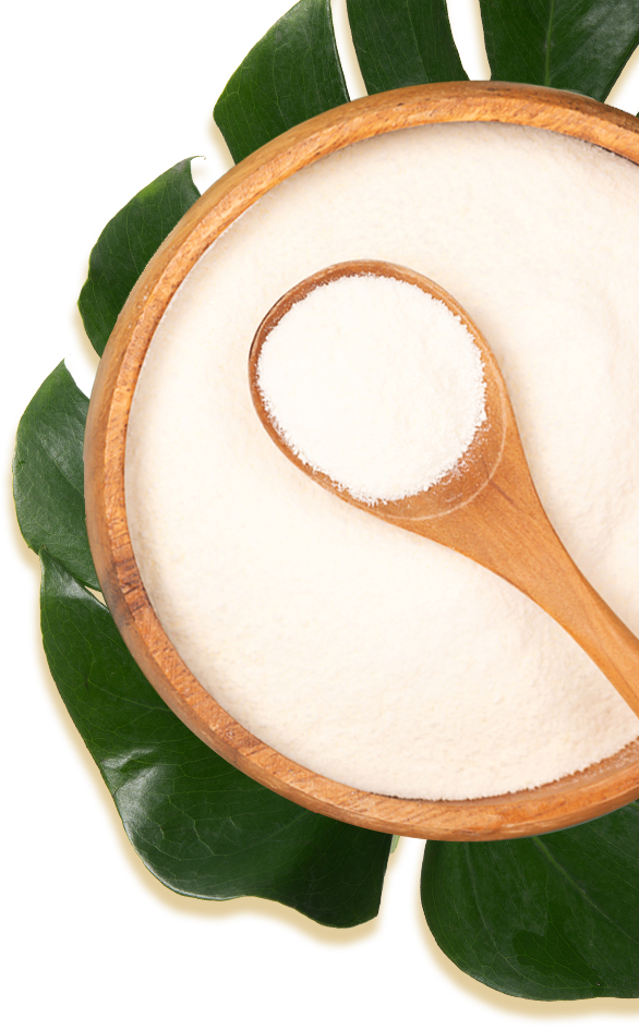 Collagen Powder