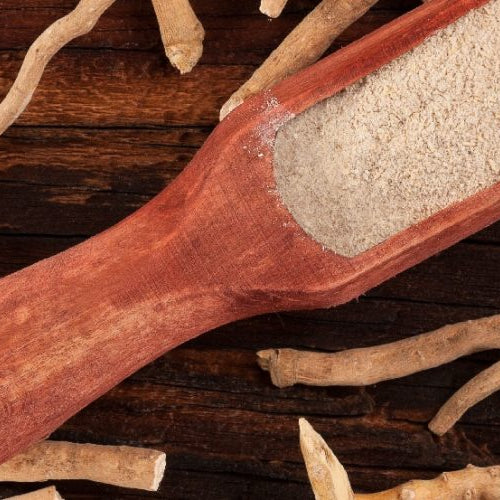 The Power of Ashwagandha