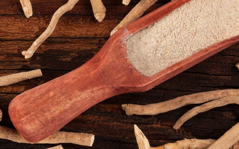 The Power of Ashwagandha