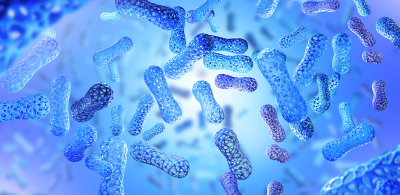 What Are Probiotics, and Why Should I Take Them?