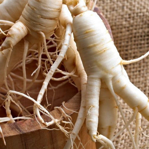 Adaptogens: Nature’s Ancient Chill Pills