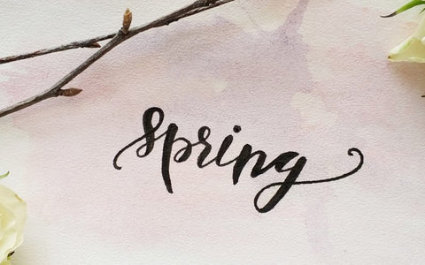 Fresh Recipes Perfect for Spring