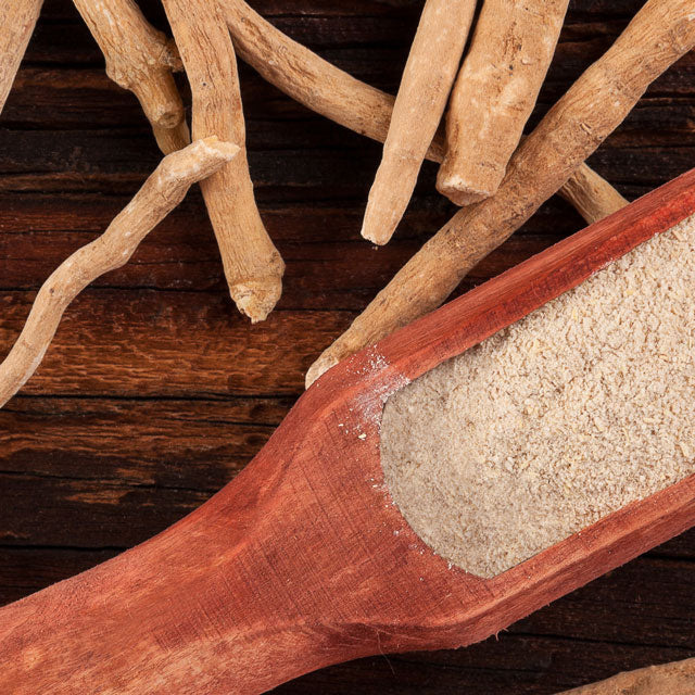 The Ultimate User Guide to Ashwagandha: Benefits & Uses, Types & Reviews