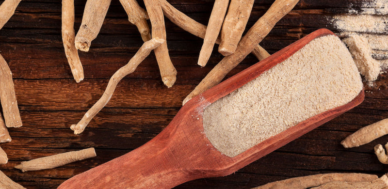 The Ultimate User Guide to Ashwagandha: Benefits & Uses, Types & Reviews