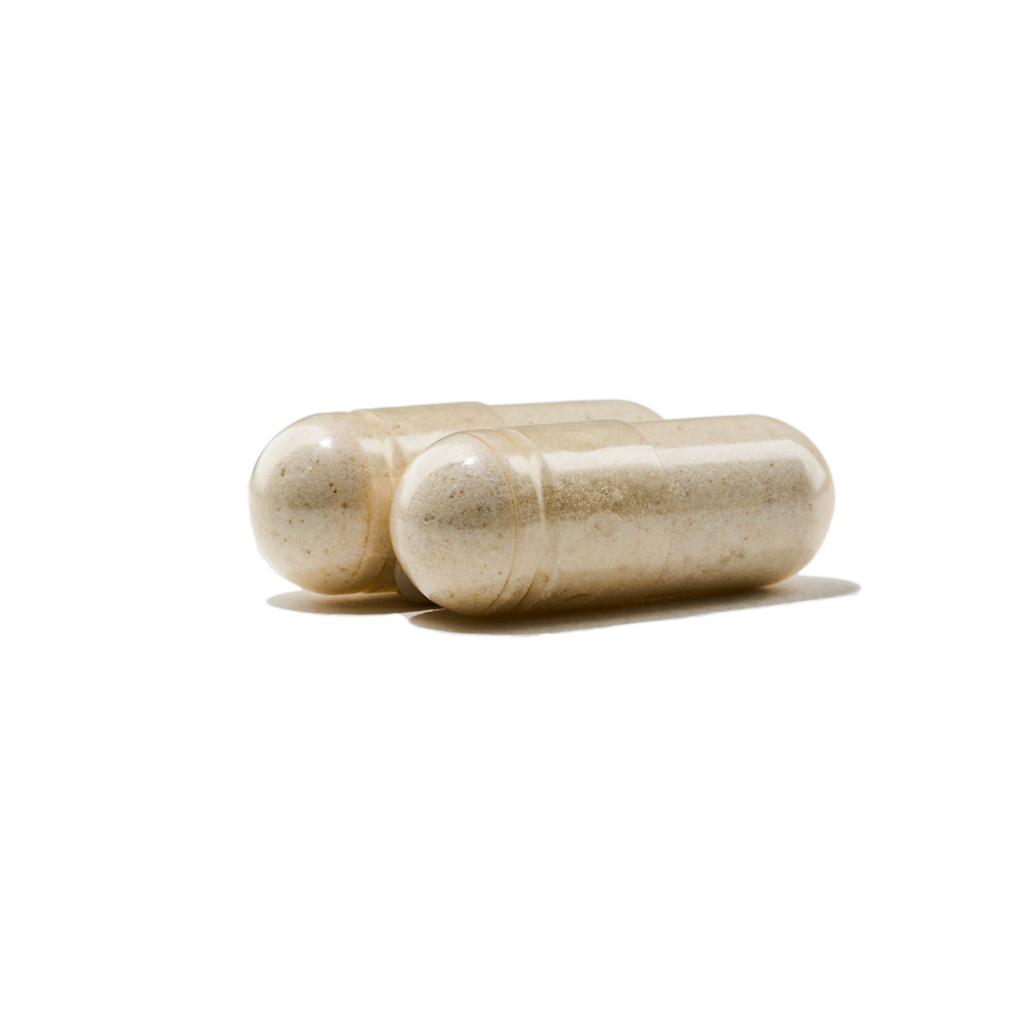 Digestive Enzymes