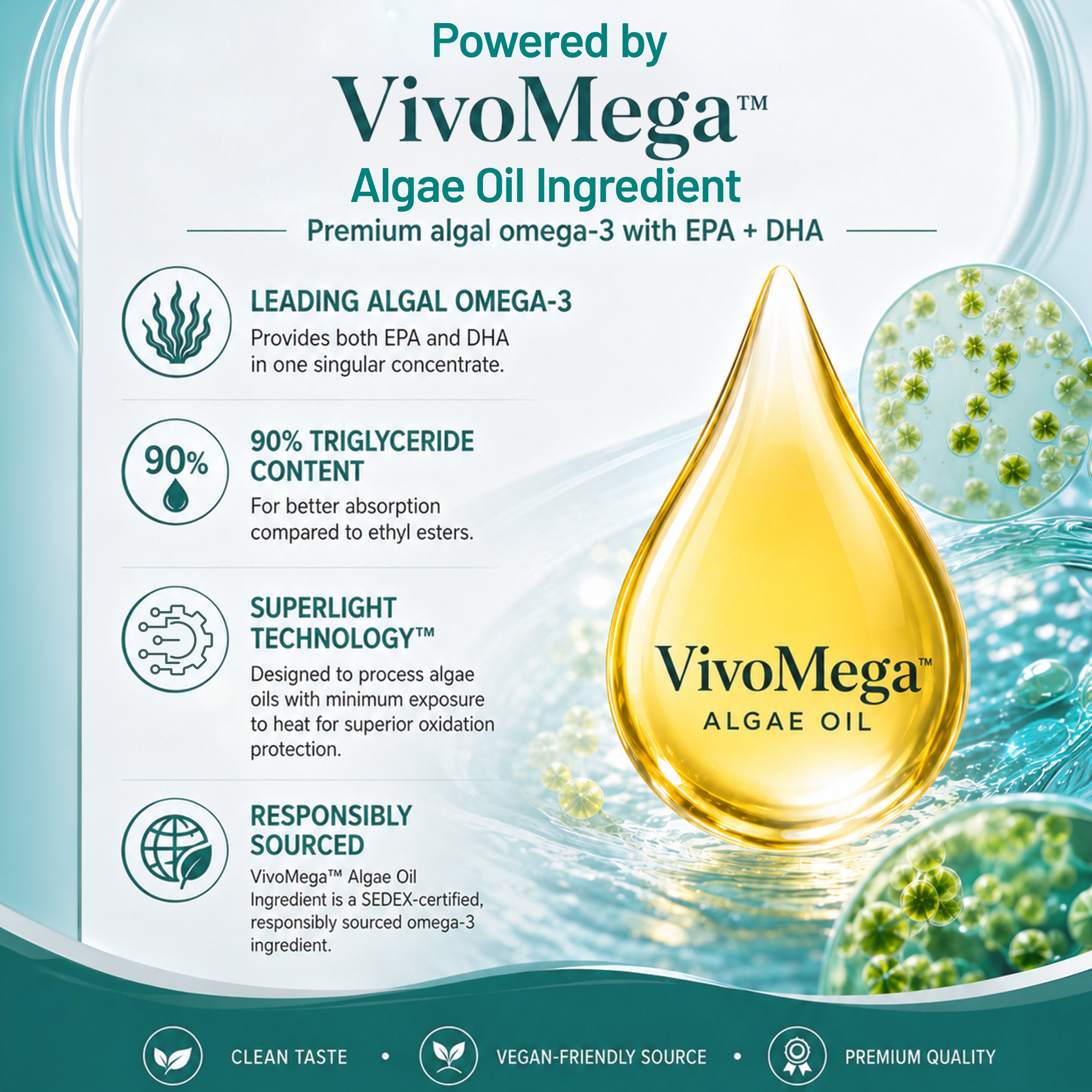 An infographic showcasing VivoMega Algae Oil Ingredient as a premium algal omega-3 containing EPA and DHA. It details product benefits: leading algal omega-3 concentrate, 90% triglyceride content for enhanced absorption, SuperLight technology to prevent heat oxidation, and responsively sourced, SEDEX-certified ingredients. Icons denote clean taste, vegan-friendly sourcing, and premium quality against a teal background with a large golden oil droplet.