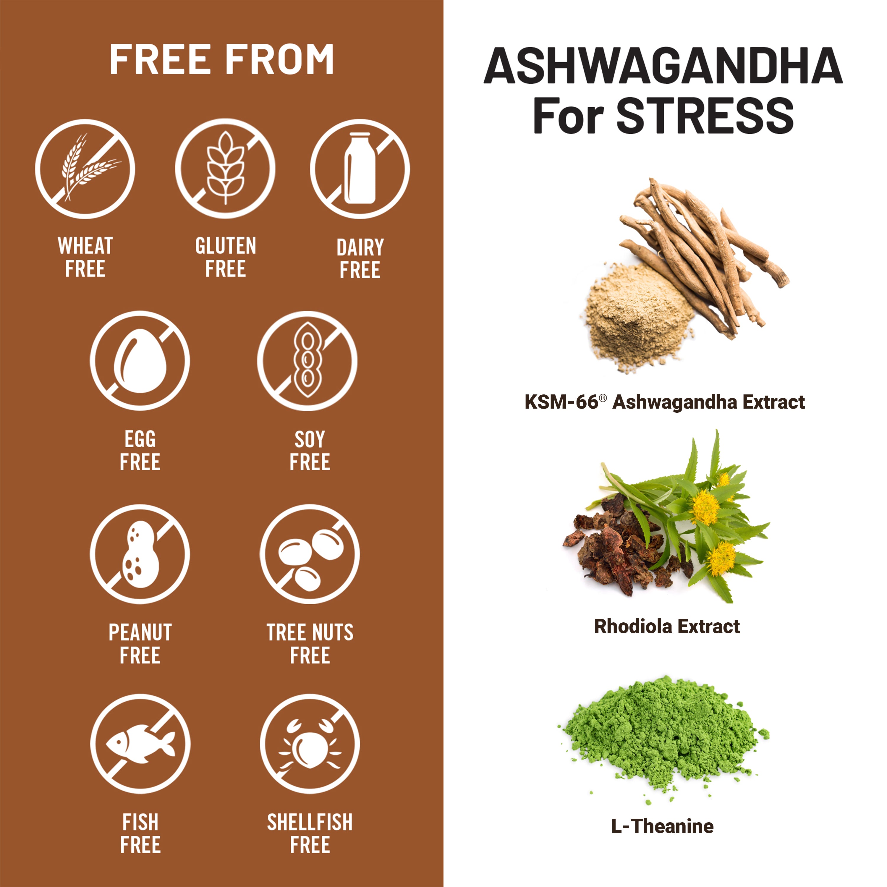 Product information card for Ashwagandha supplement showing free-from labels and ingredients on a brown and white background.