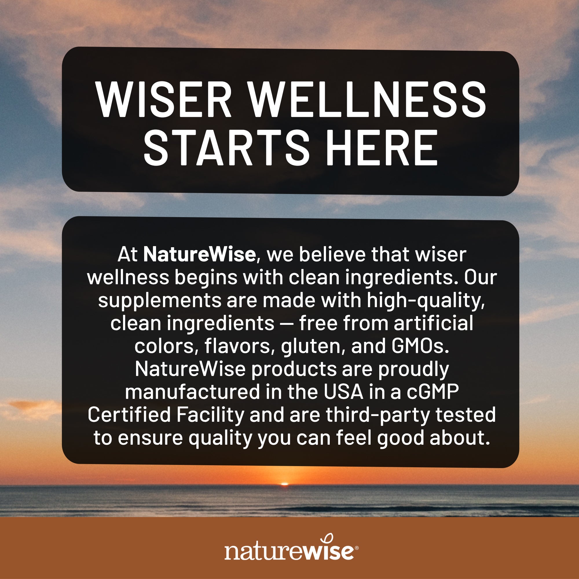 A promotional graphic with two black rounded text boxes over a sunset ocean scene. The top box reads 'WISER WELLNESS STARTS HERE' in white uppercase text, and the lower box contains a paragraph starting with 'At NatureWise.