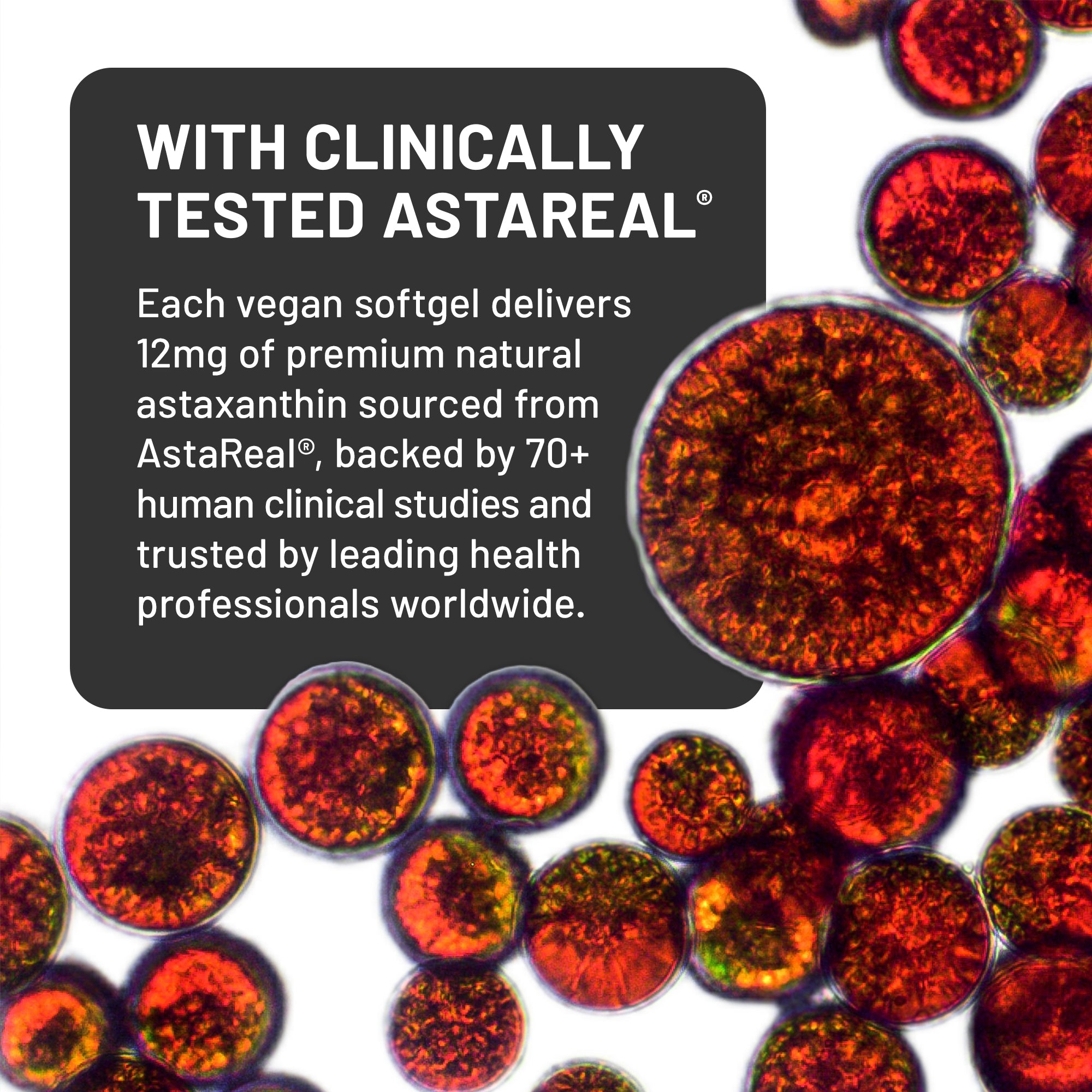 Vegan astaxanthin softgels with astaxanthin and text about clinically tested Astareal