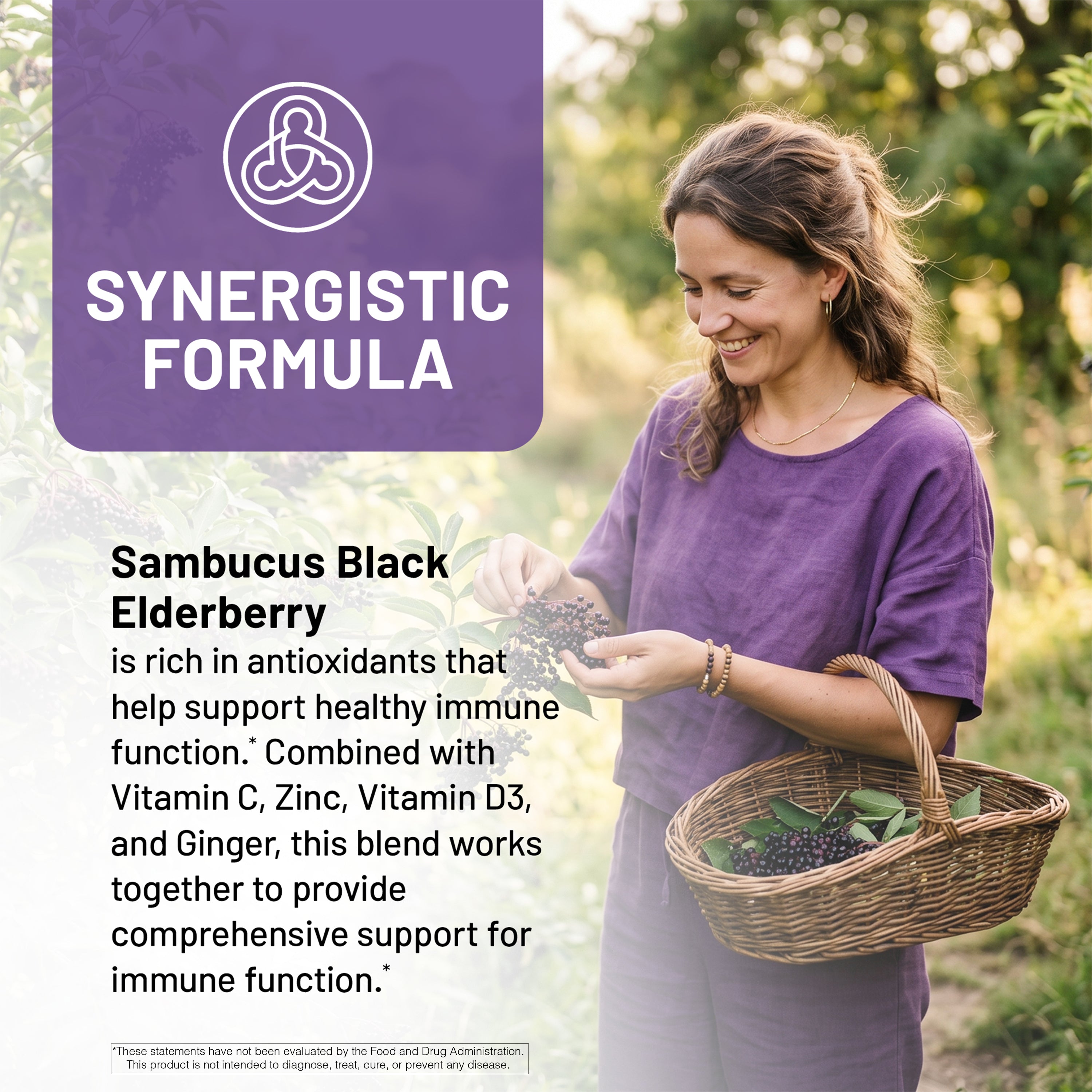 Woman holding a basket of Sambucus Black Elderberry with text about its benefits.