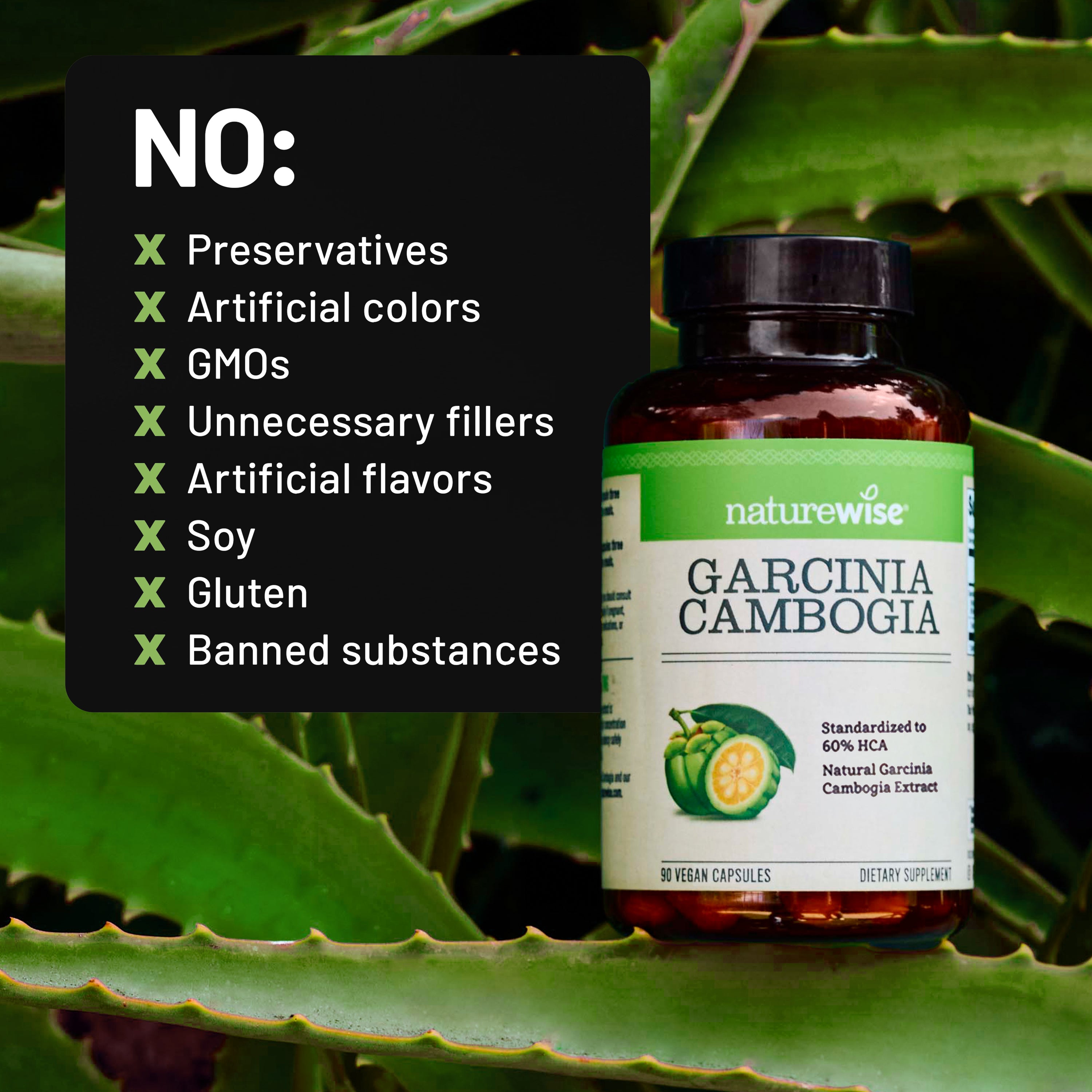 NatureWise Garcinia Cambogia supplement bottle with green leafy background and list of no ingredients.