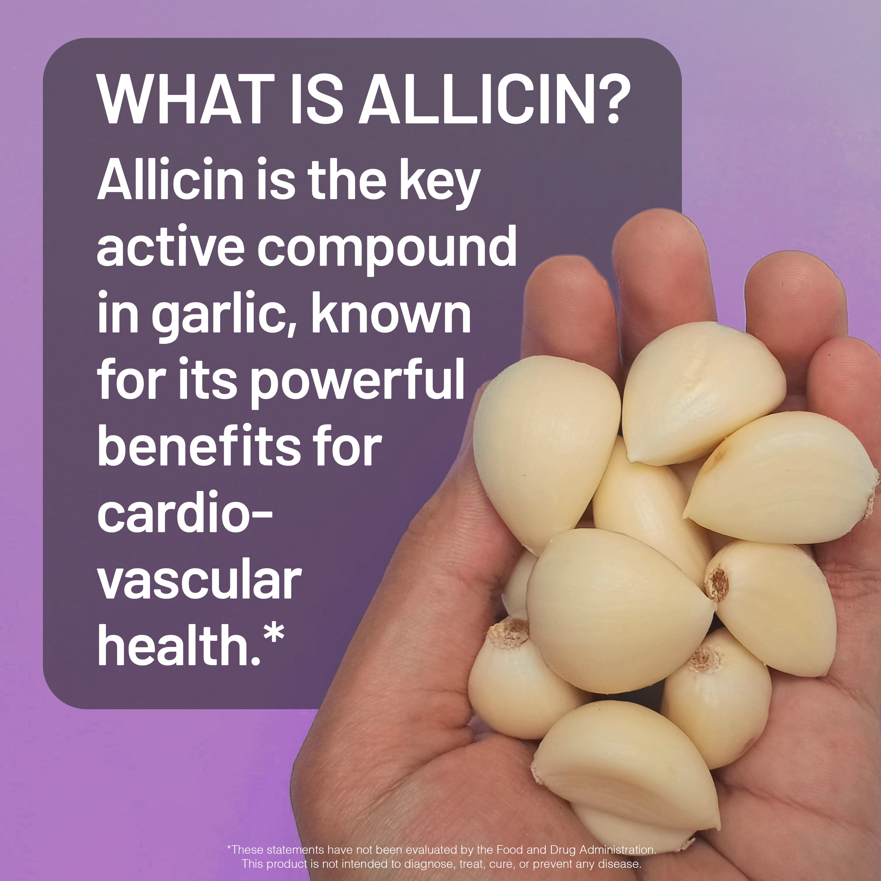 Allicin Garlic +