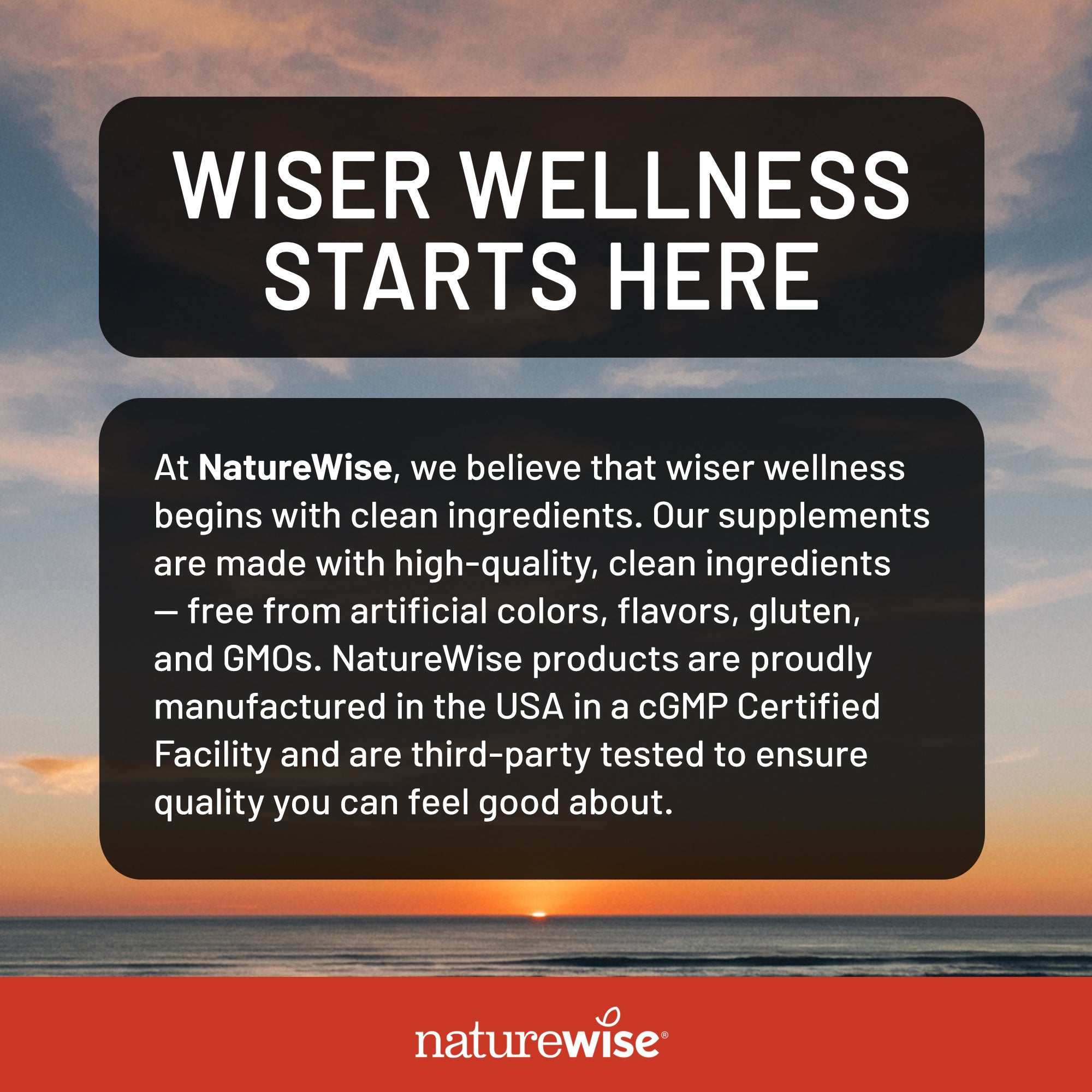 A promotional graphic with a sunset ocean background and two dark text panels reading 'WISER WELLNESS STARTS HERE' and a company description for NatureWise, with the NatureWise logo at the bottom.
