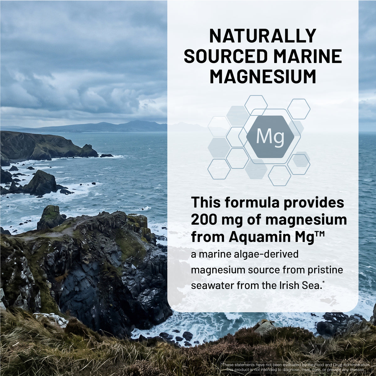 A promotional graphic with a coastal landscape background and a large white text panel. The text reads 'NATURALLY SOURCED MARINE MAGNESIUM' and describes a marine algae-derived magnesium source from pristine seawater.