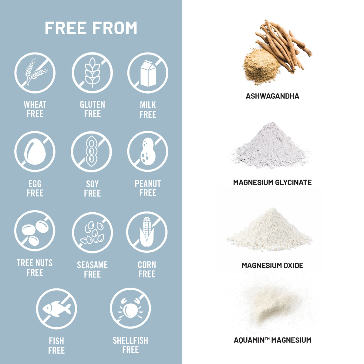 Nutrition and ingredient information graphic for a supplement. The left side is a light blue panel with white icons indicating the product is free from wheat, gluten, milk, eggs, soy, peanuts, tree nuts, sesame, corn, fish, and shellfish.