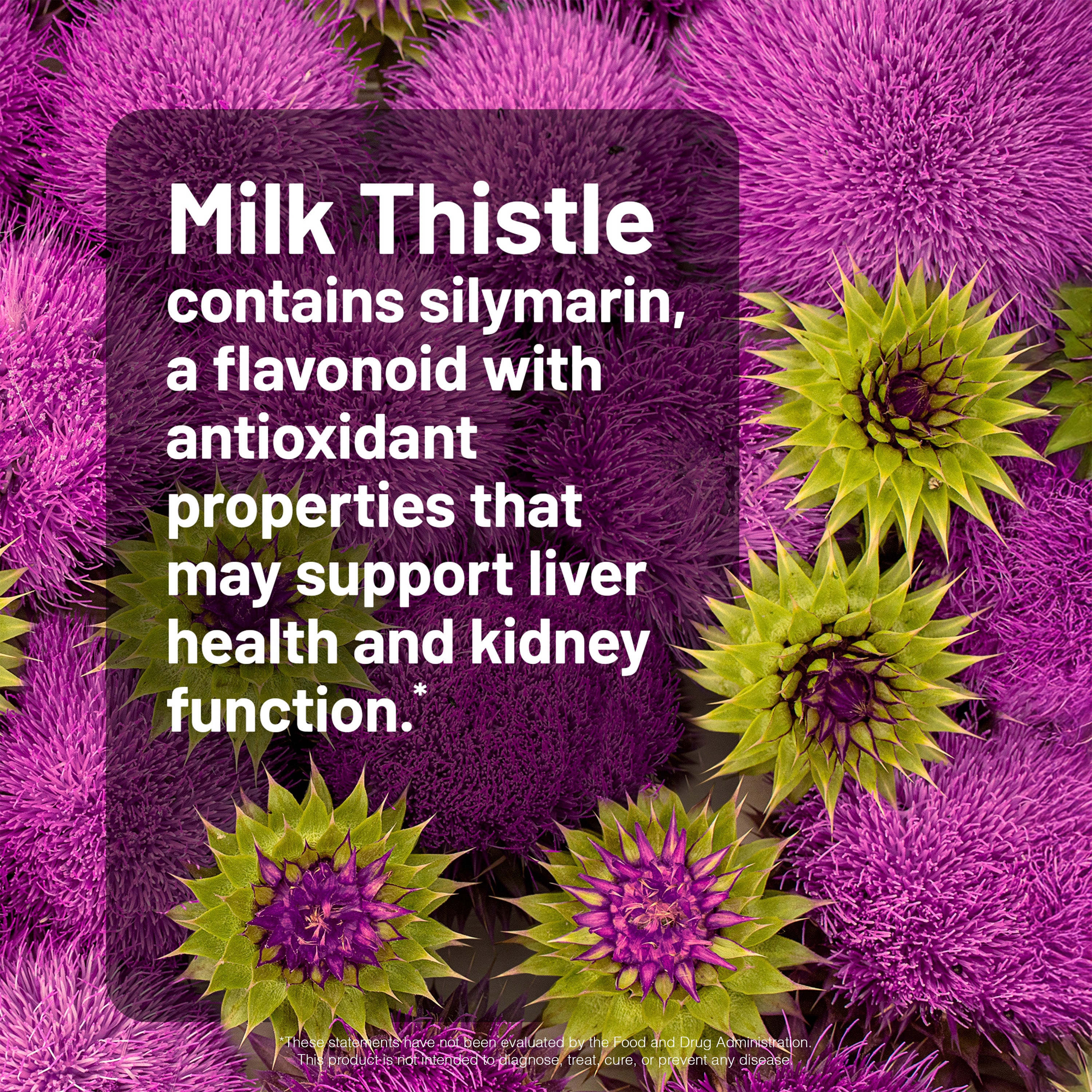 Milk Thistle