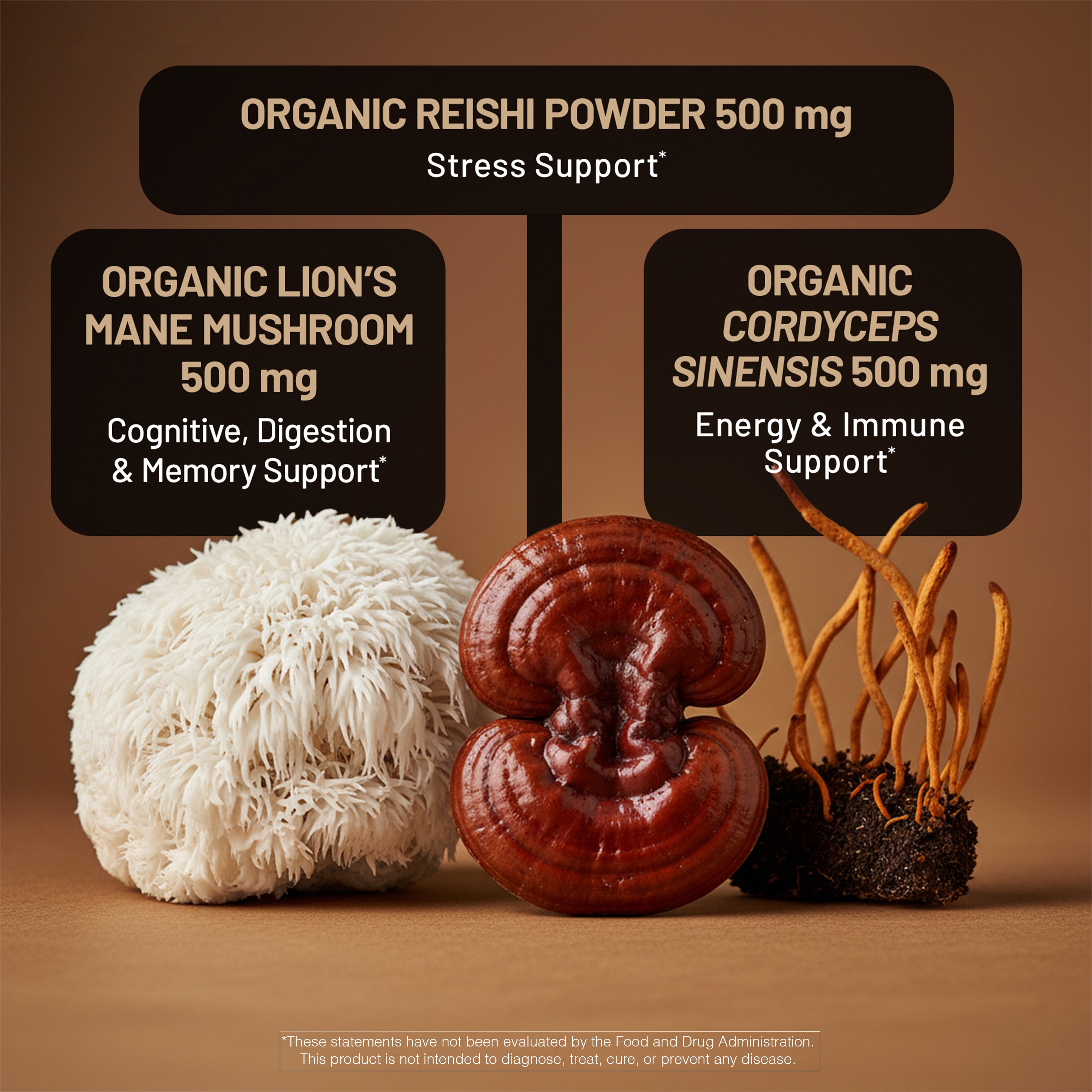 Three types of organic mushrooms with text labels on a brown background