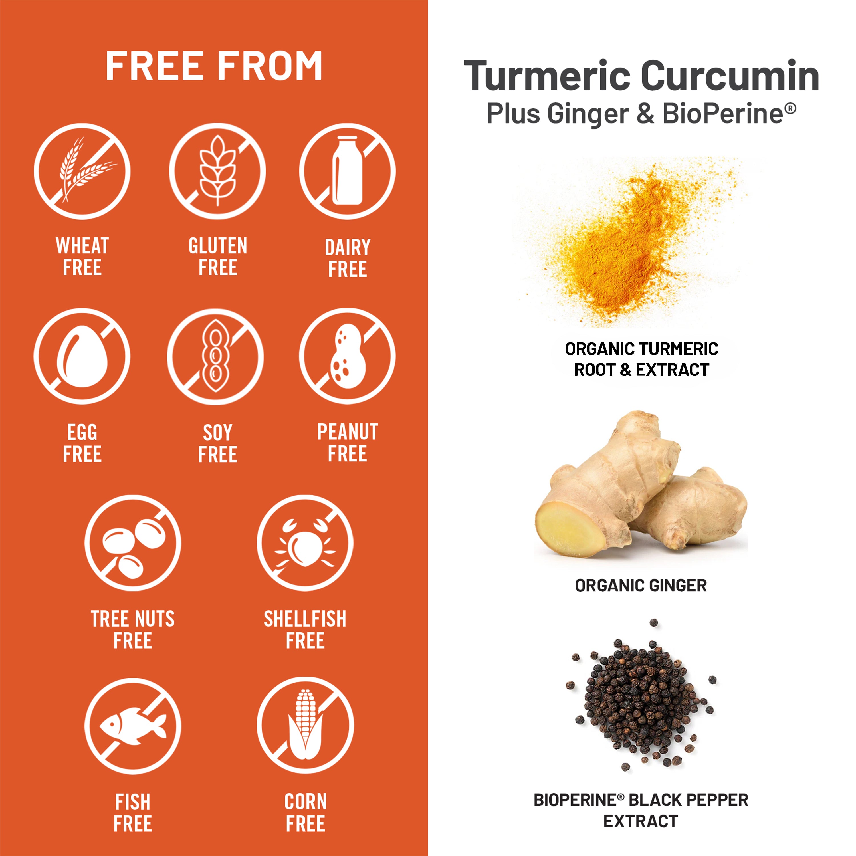 Nutrition and ingredient information graphic for Turmeric Curcumin Plus Ginger & BioPerine®. The left side is orange with white icons indicating free from claims: wheat, gluten, dairy, egg, soy, peanut, tree nuts, shellfish, fish, and corn.
