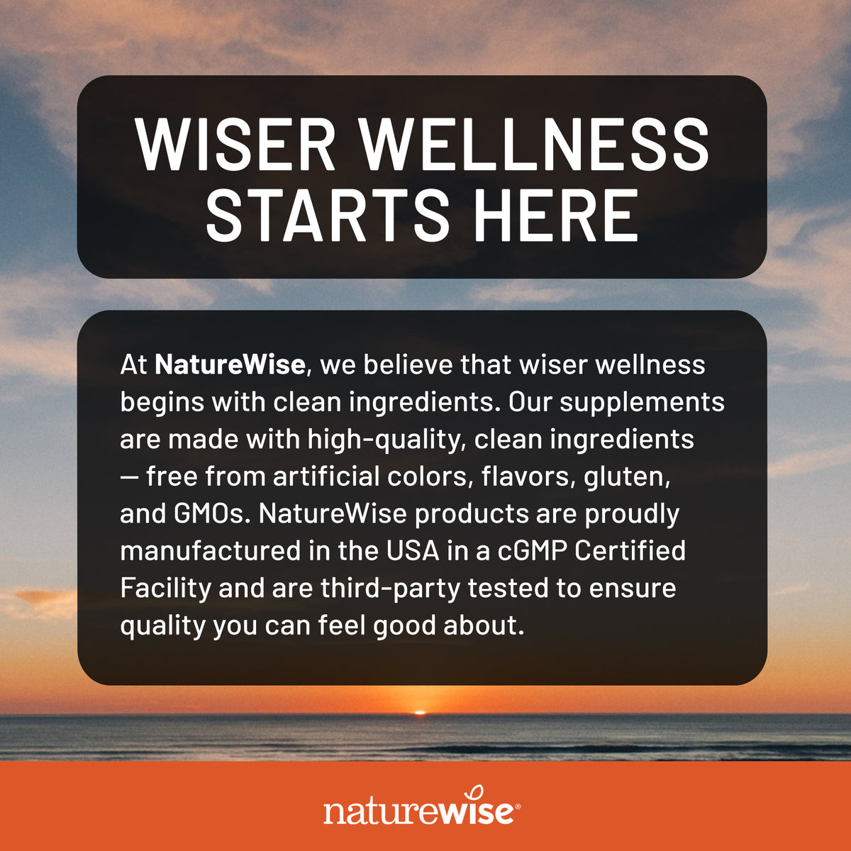 A promotional graphic for NatureWise with a sunset ocean background and two dark text panels reading 'WISER WELLNESS STARTS HERE' and a company description. The NatureWise logo appears at the bottom on an orange band.