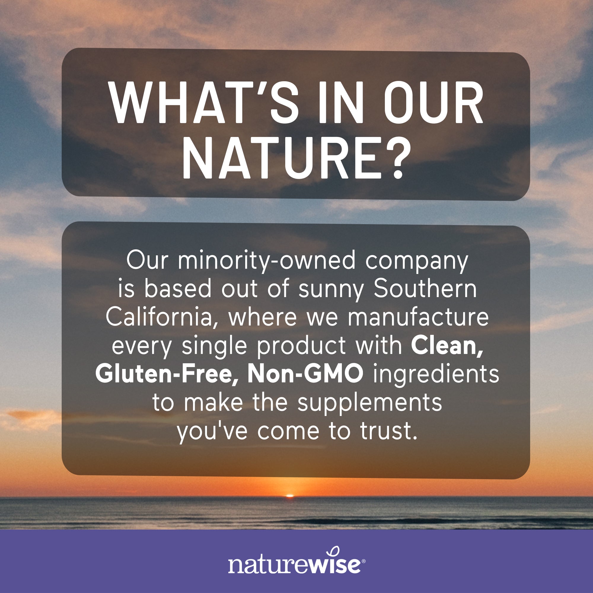 Vegan Vitamin K2 Softgels